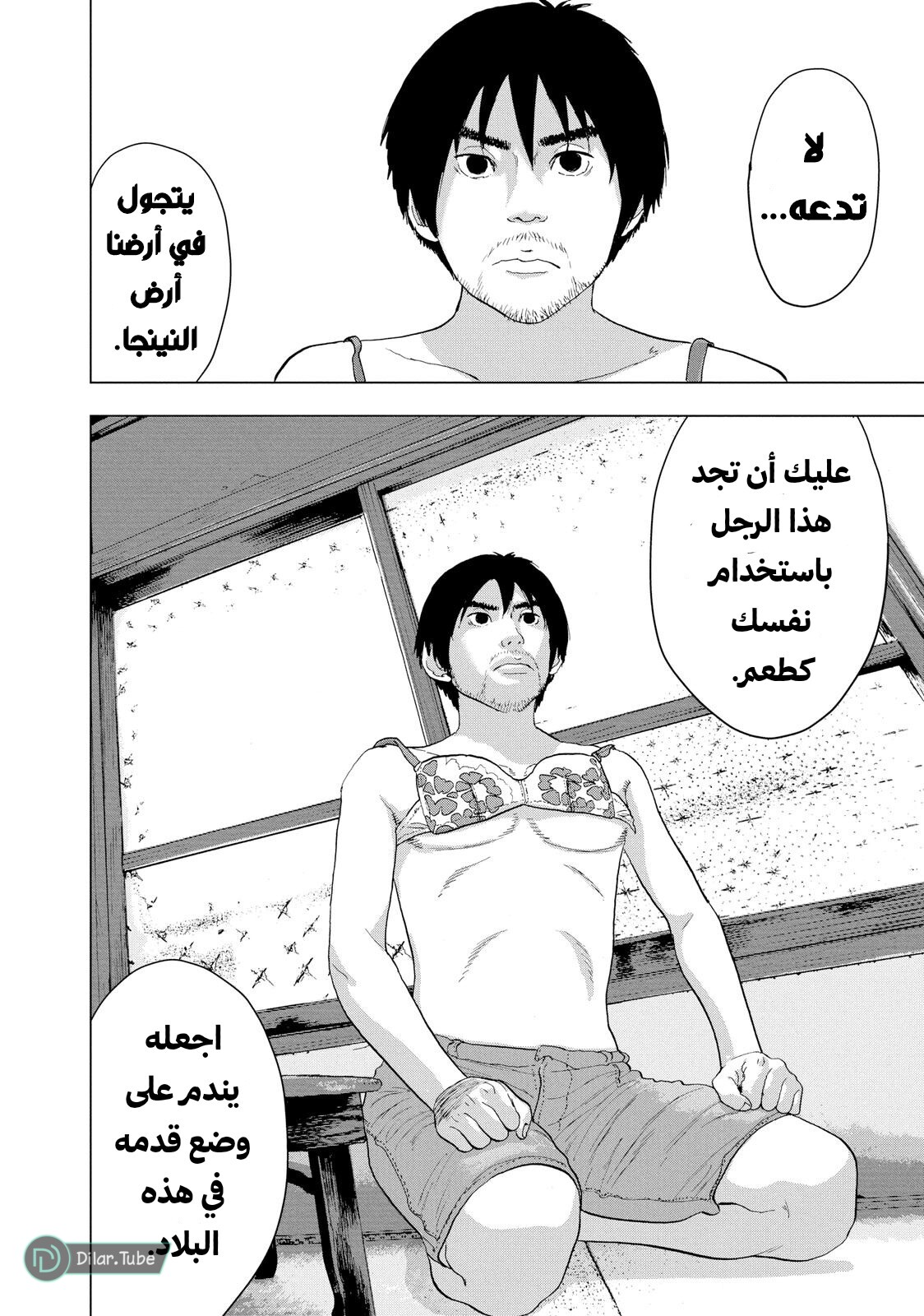 الصفحة 13