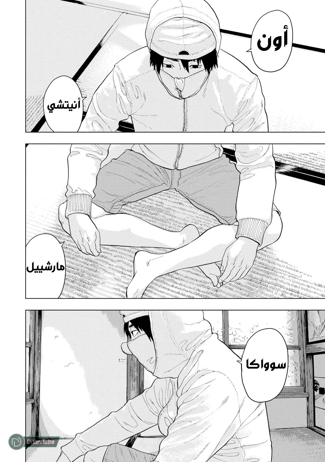 الصفحة 17