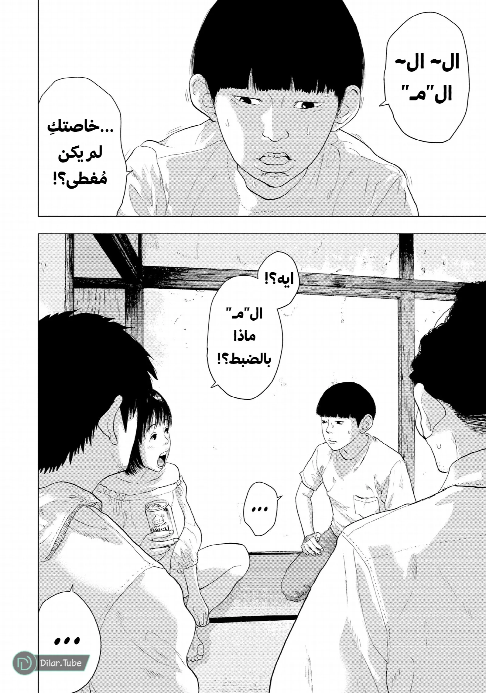 الصفحة 13
