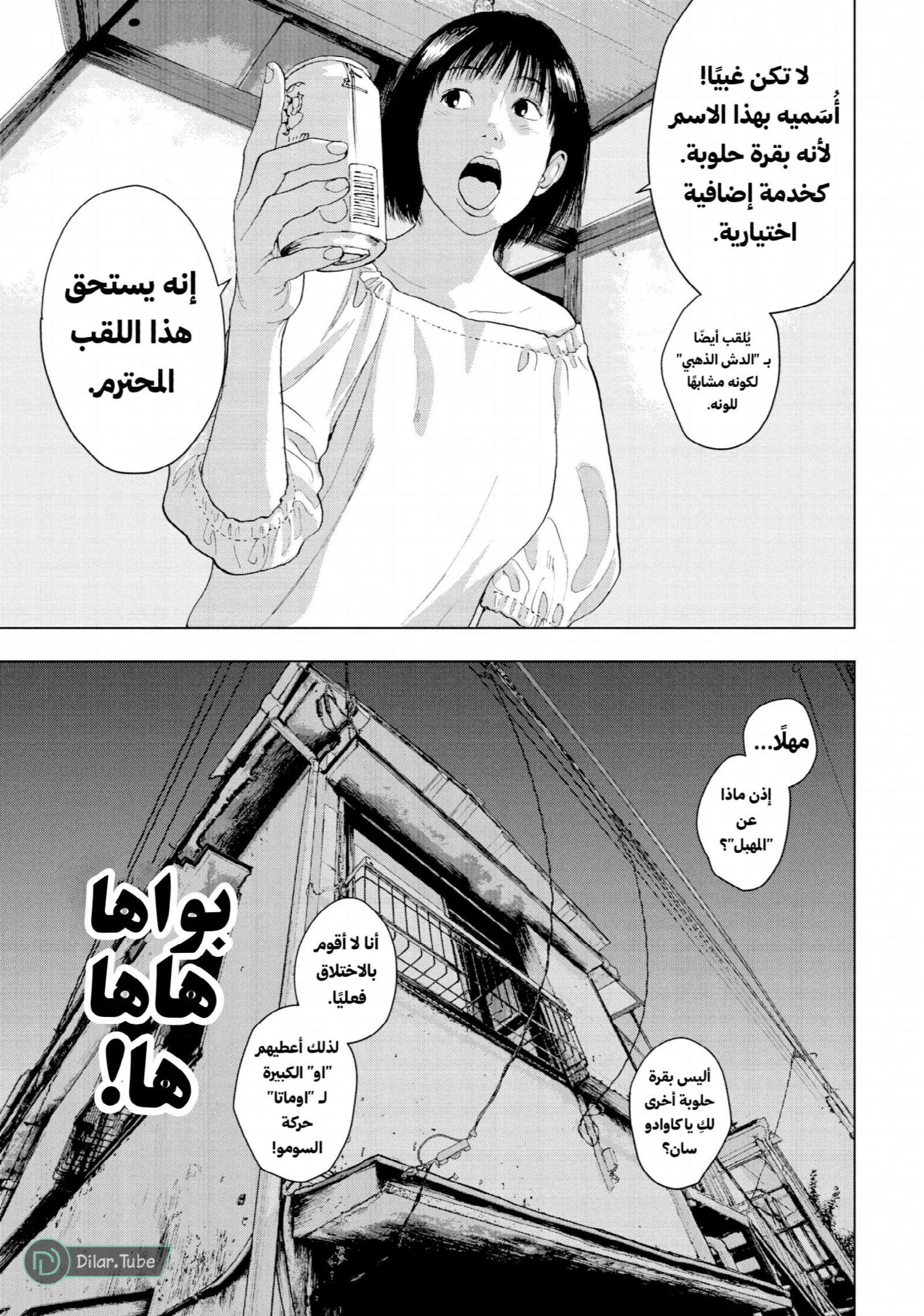 الصفحة 16