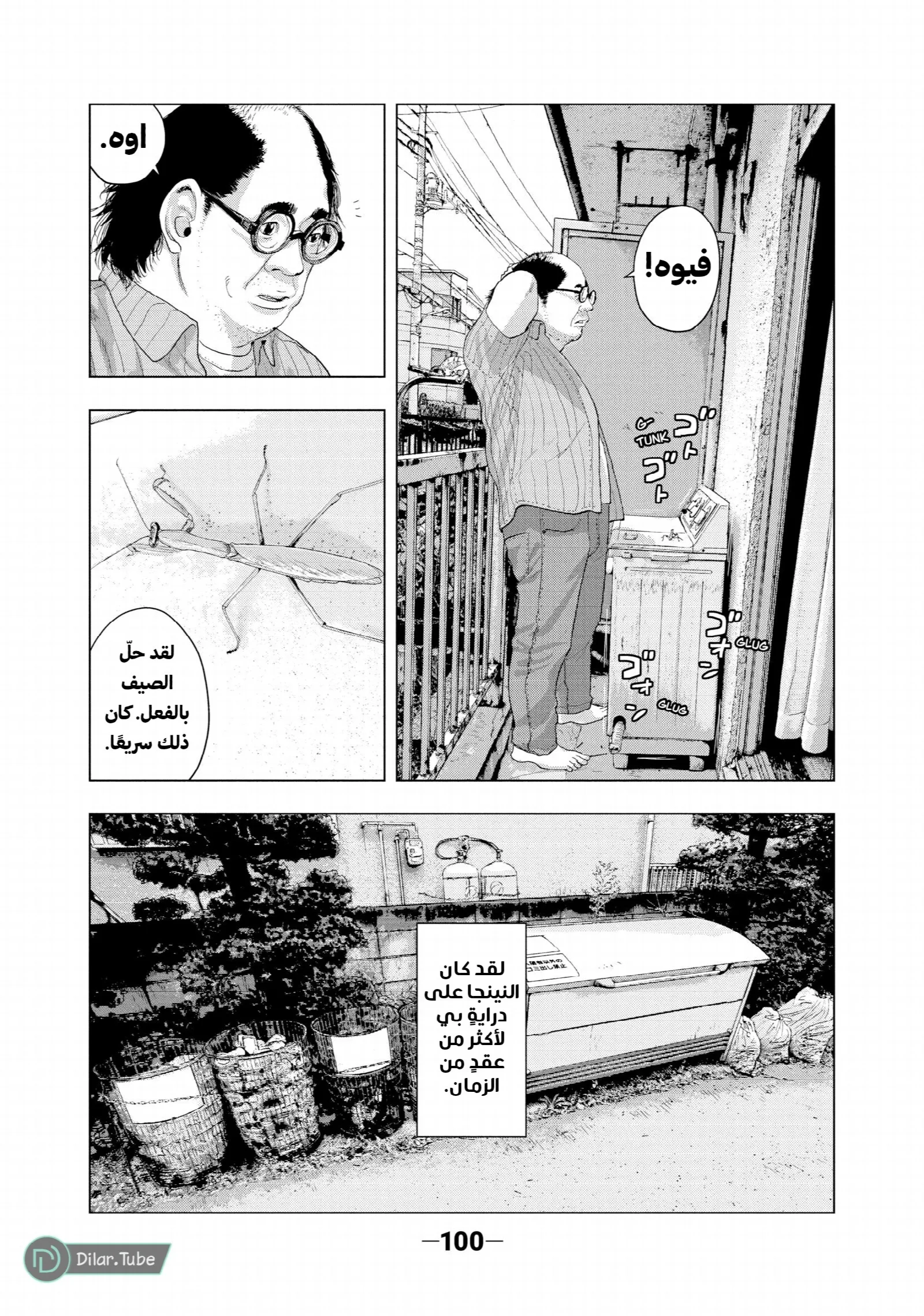 الصفحة 17