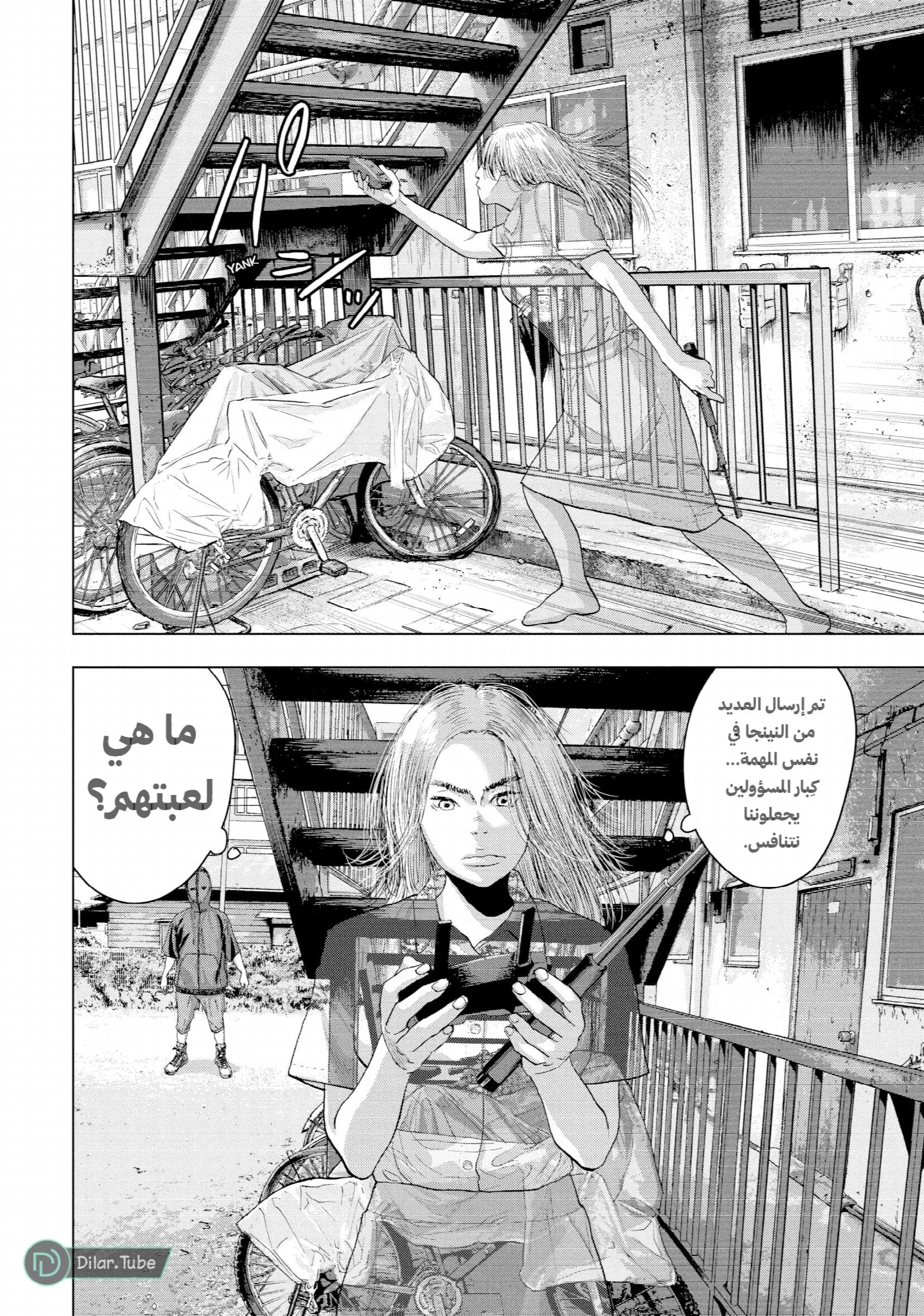 الصفحة 13