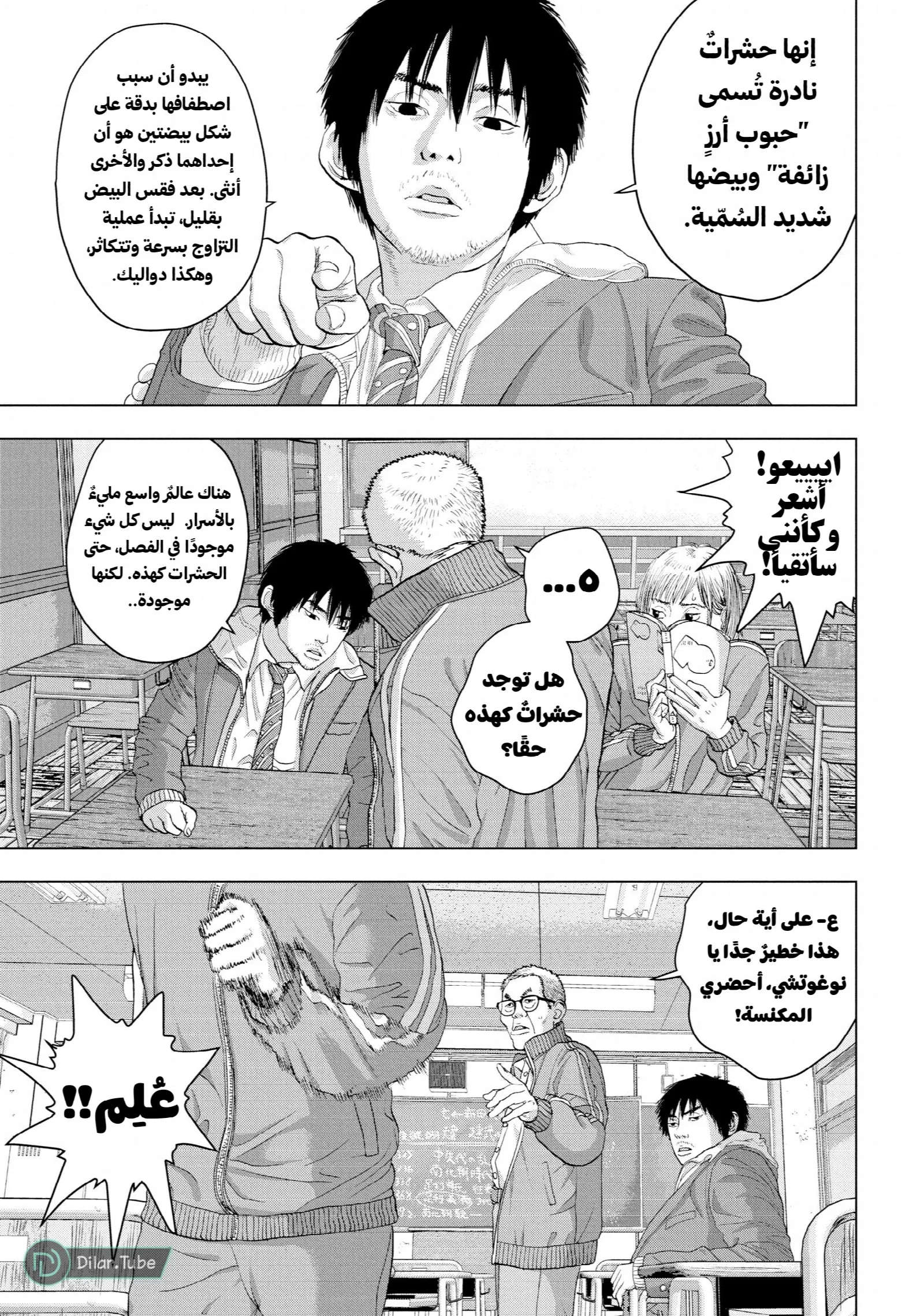 الصفحة 8