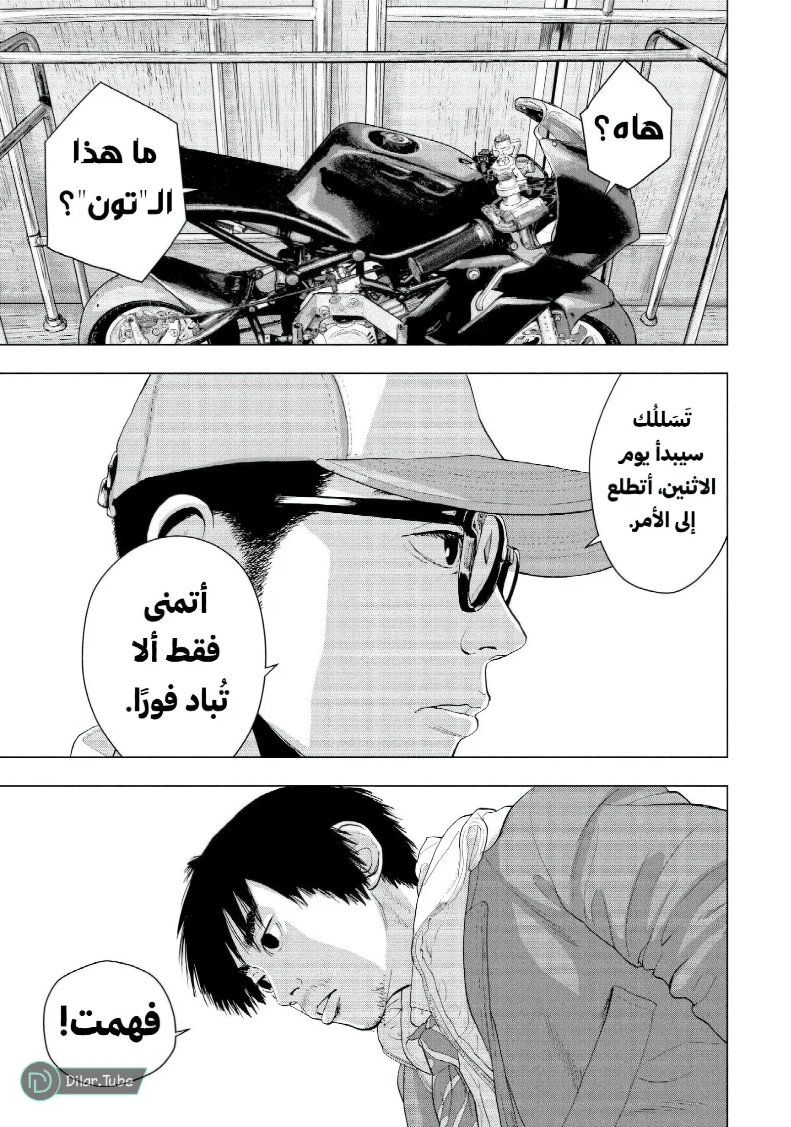 الصفحة 19