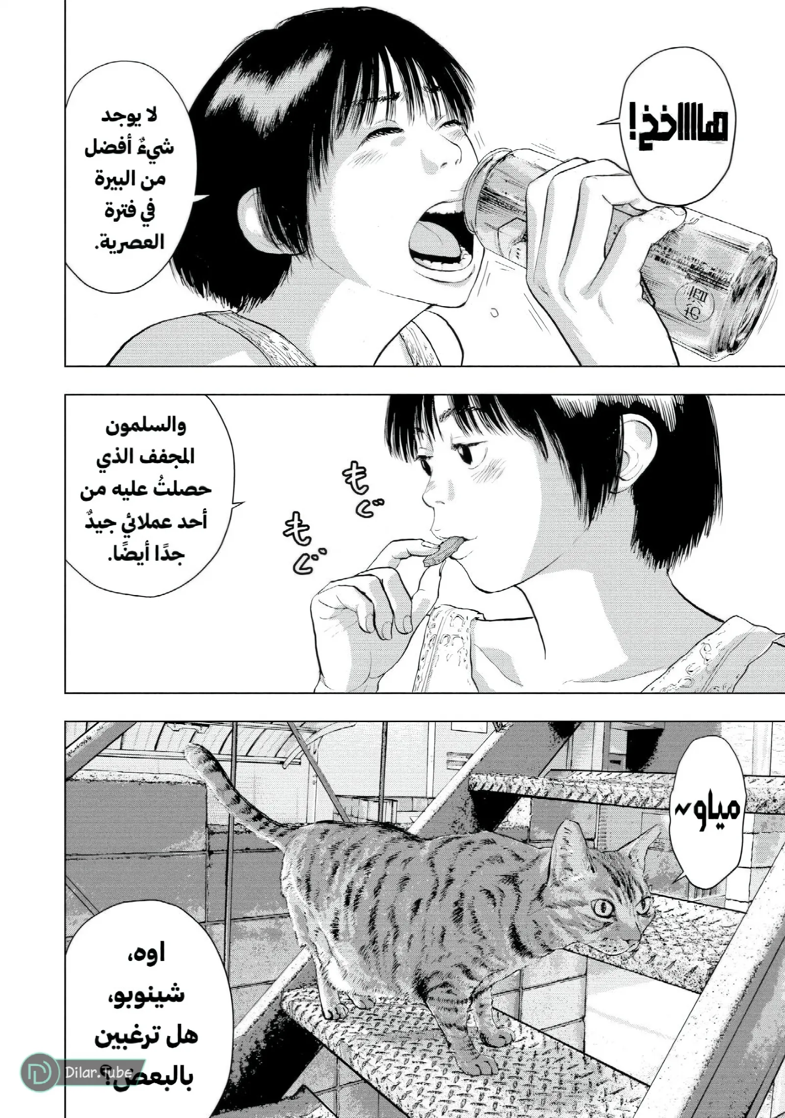 الصفحة 3