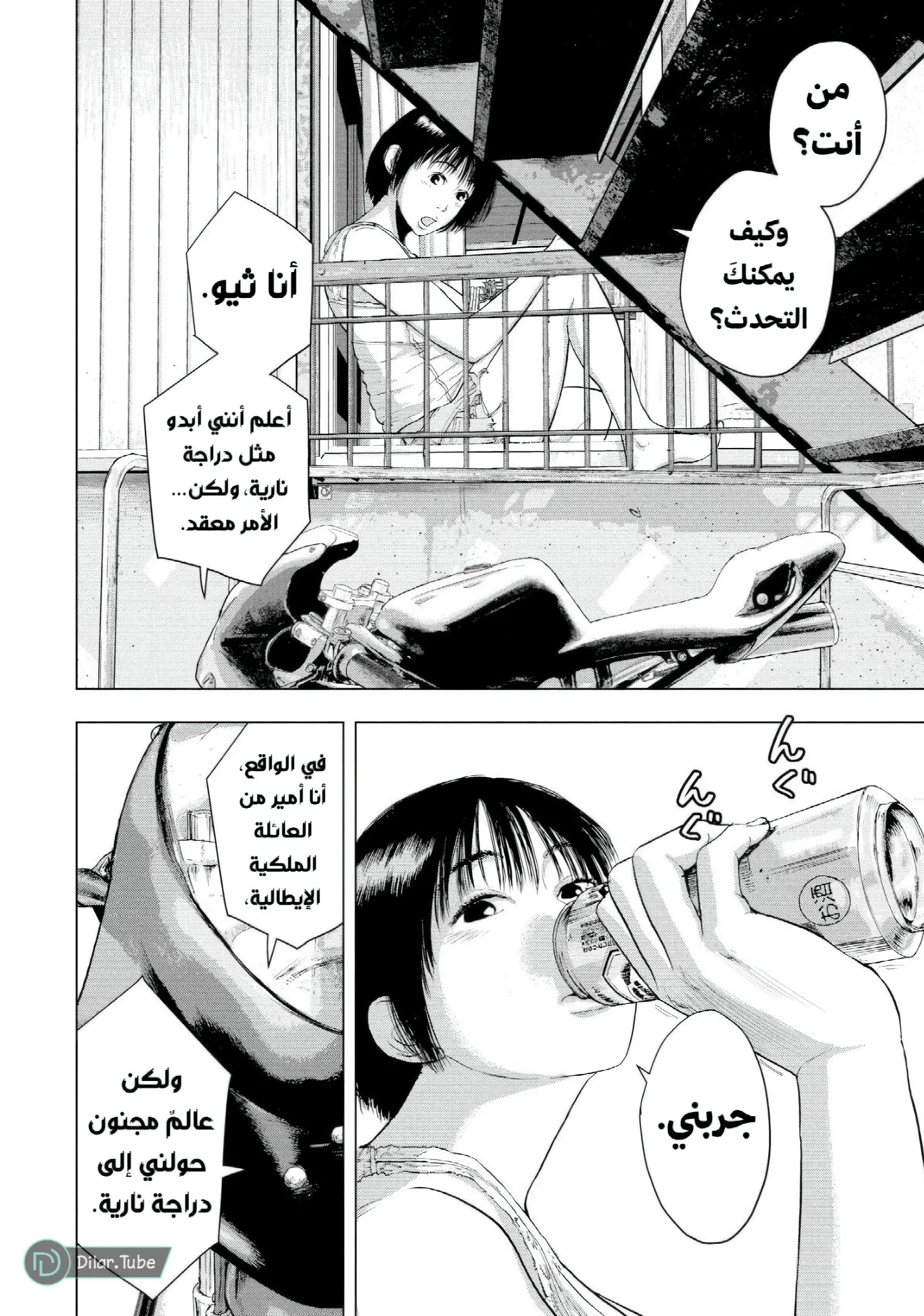الصفحة 5
