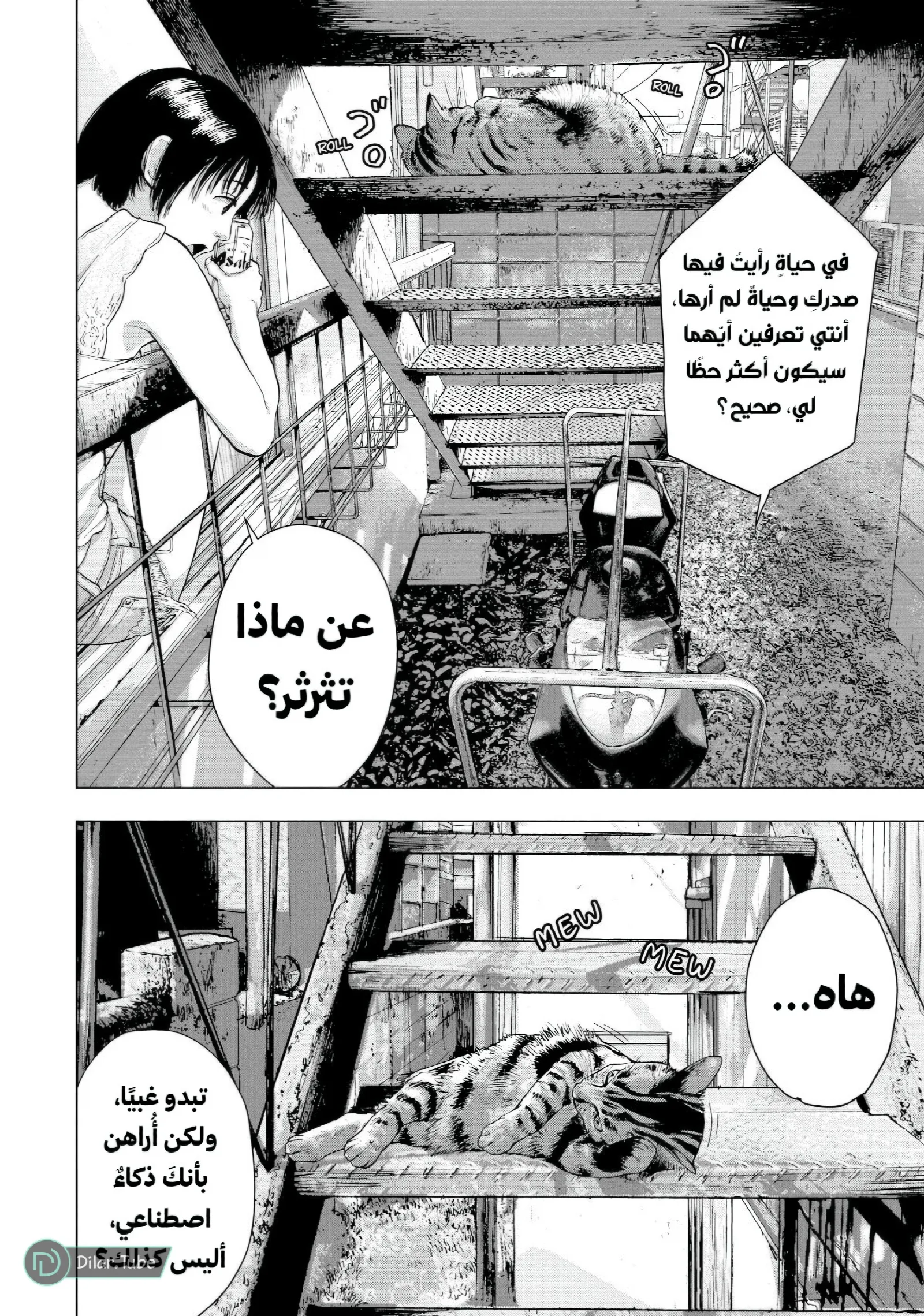 الصفحة 7