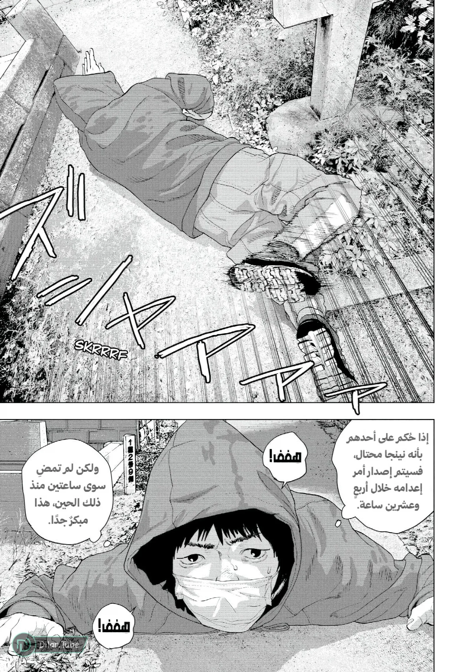 الصفحة 14