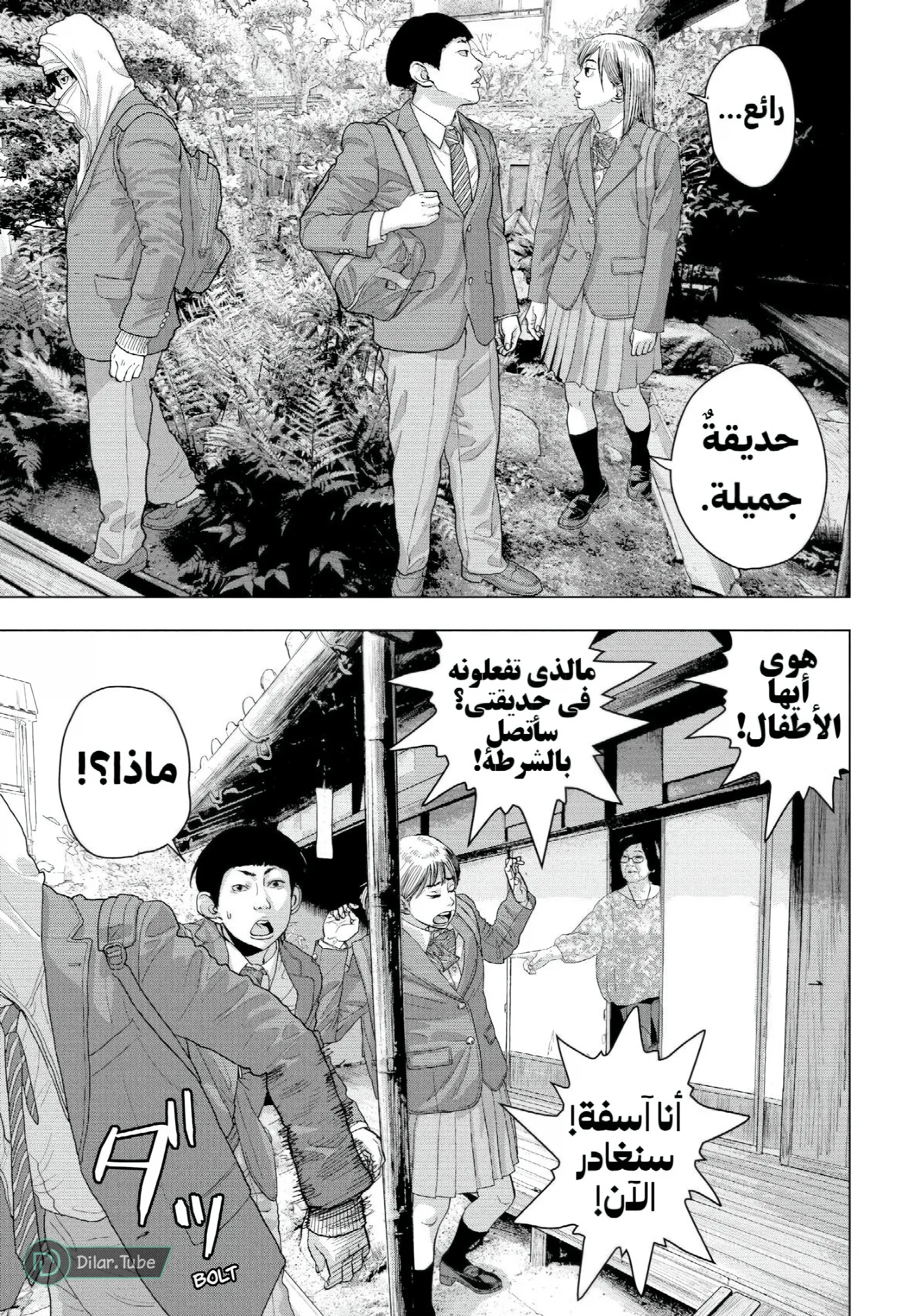 الصفحة 12
