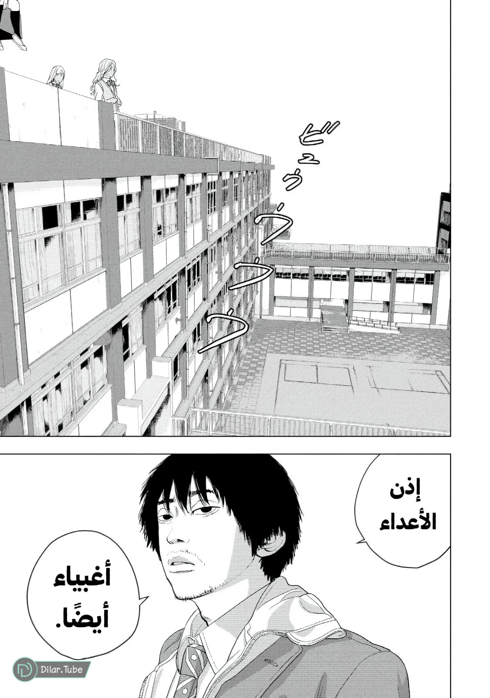 الصفحة 12