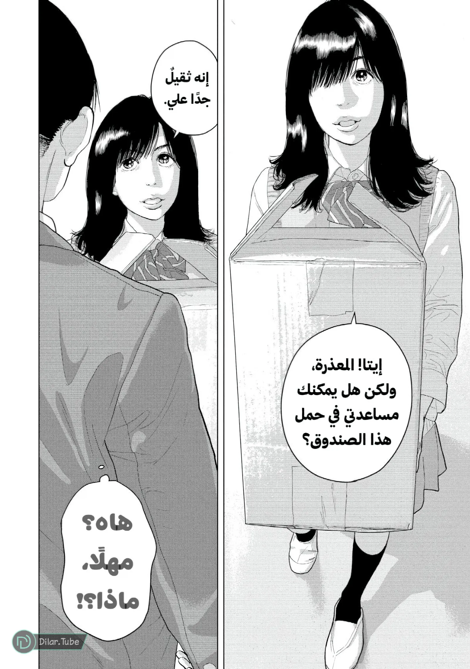 الصفحة 3