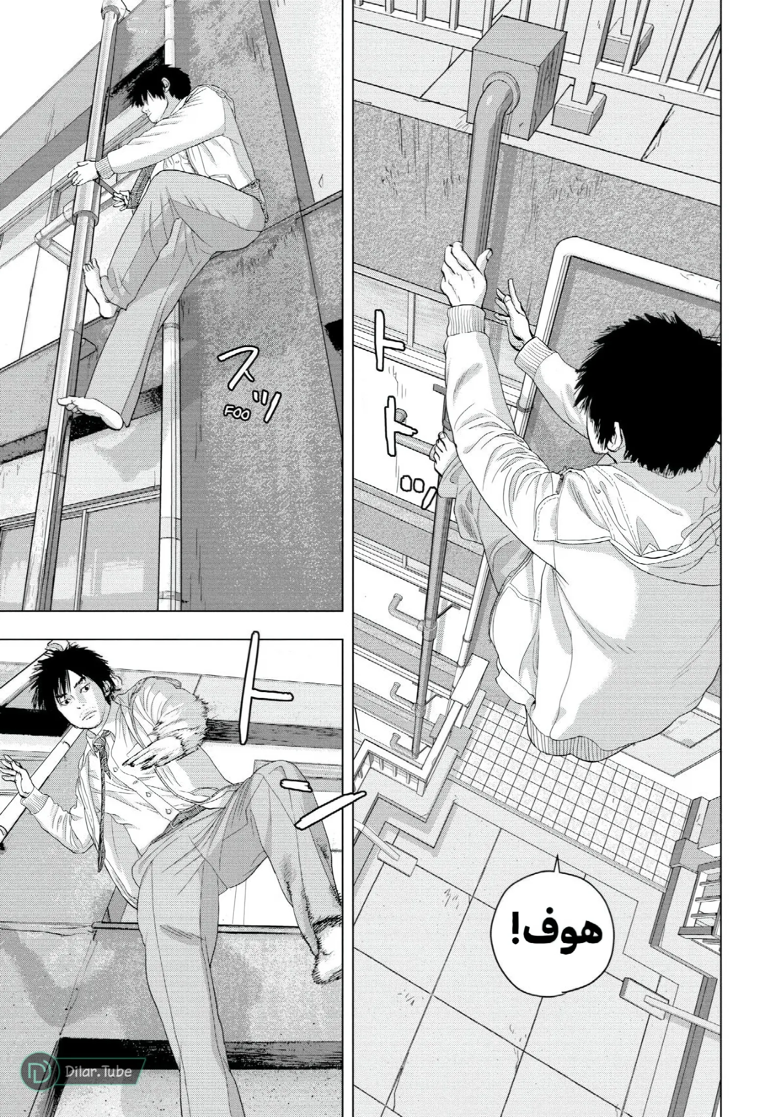 الصفحة 6