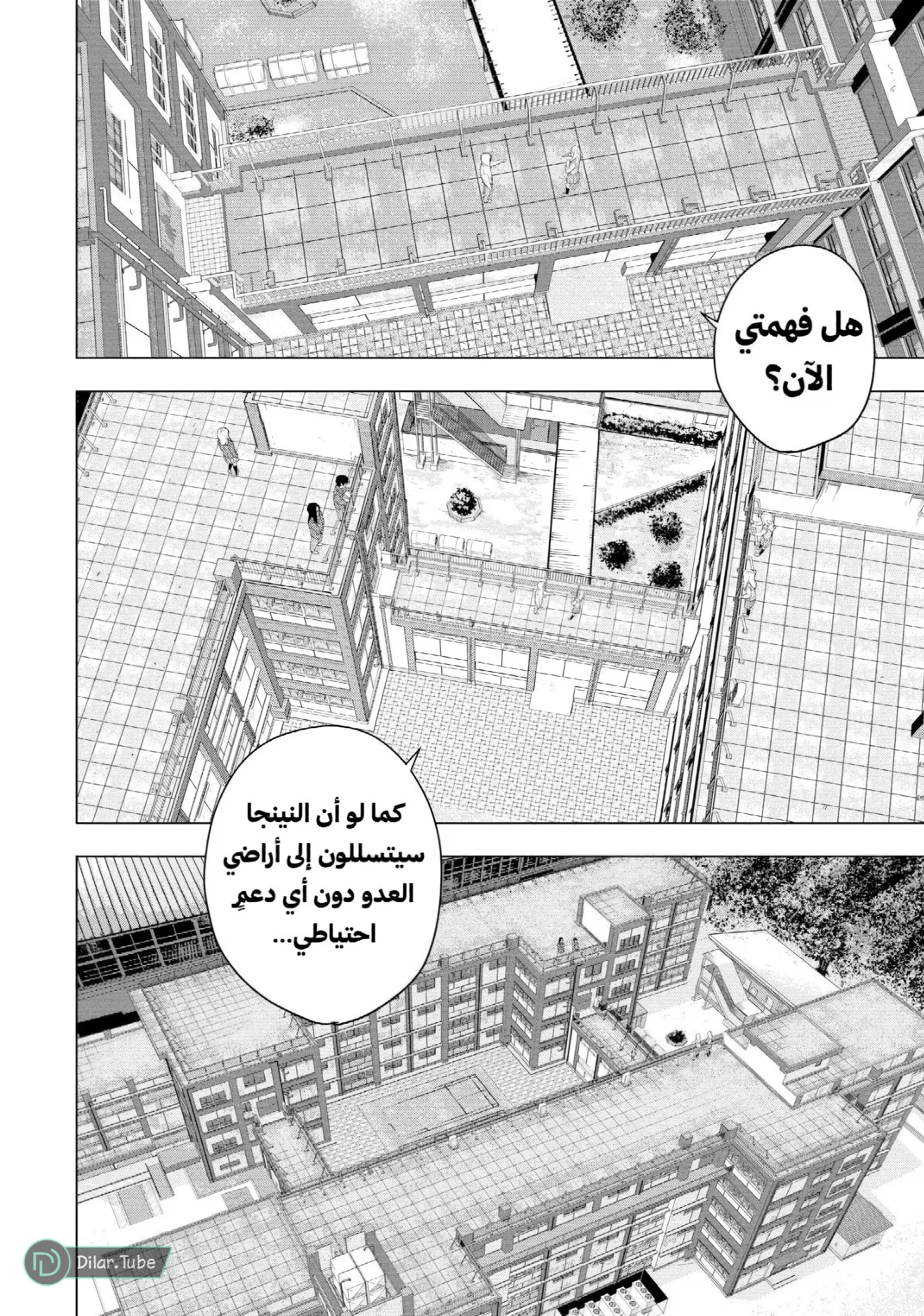 الصفحة 17
