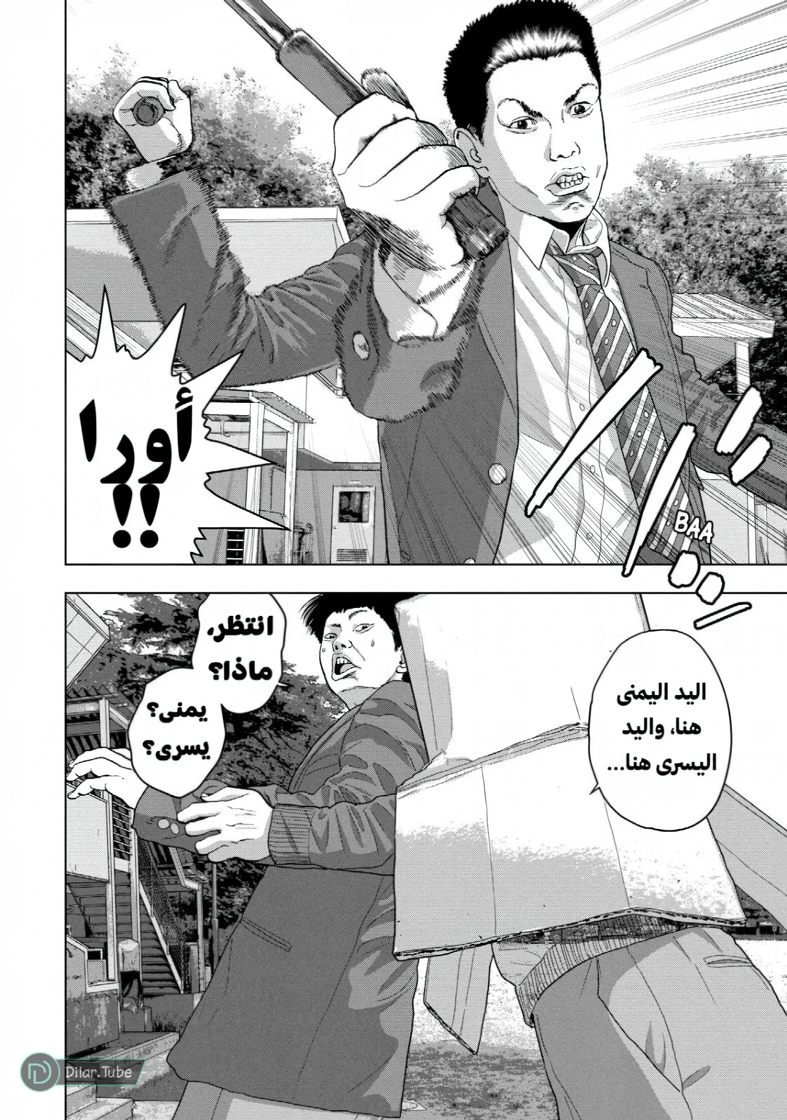 الصفحة 12