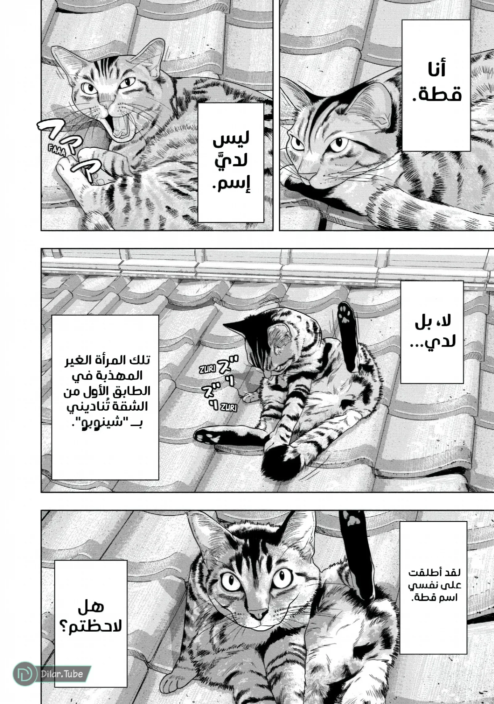 الصفحة 3