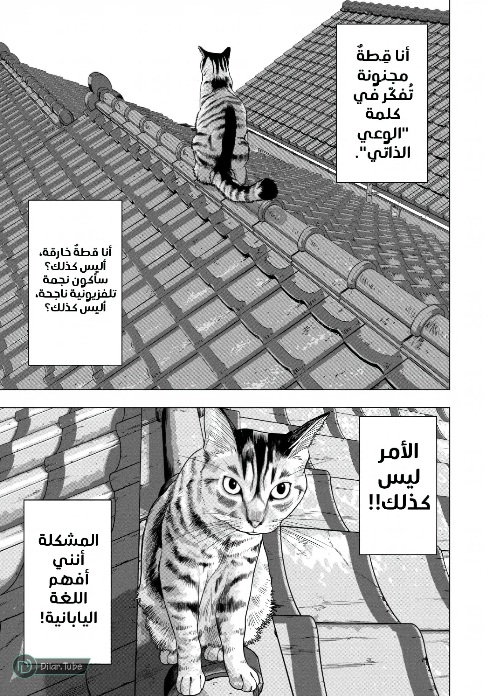 الصفحة 4