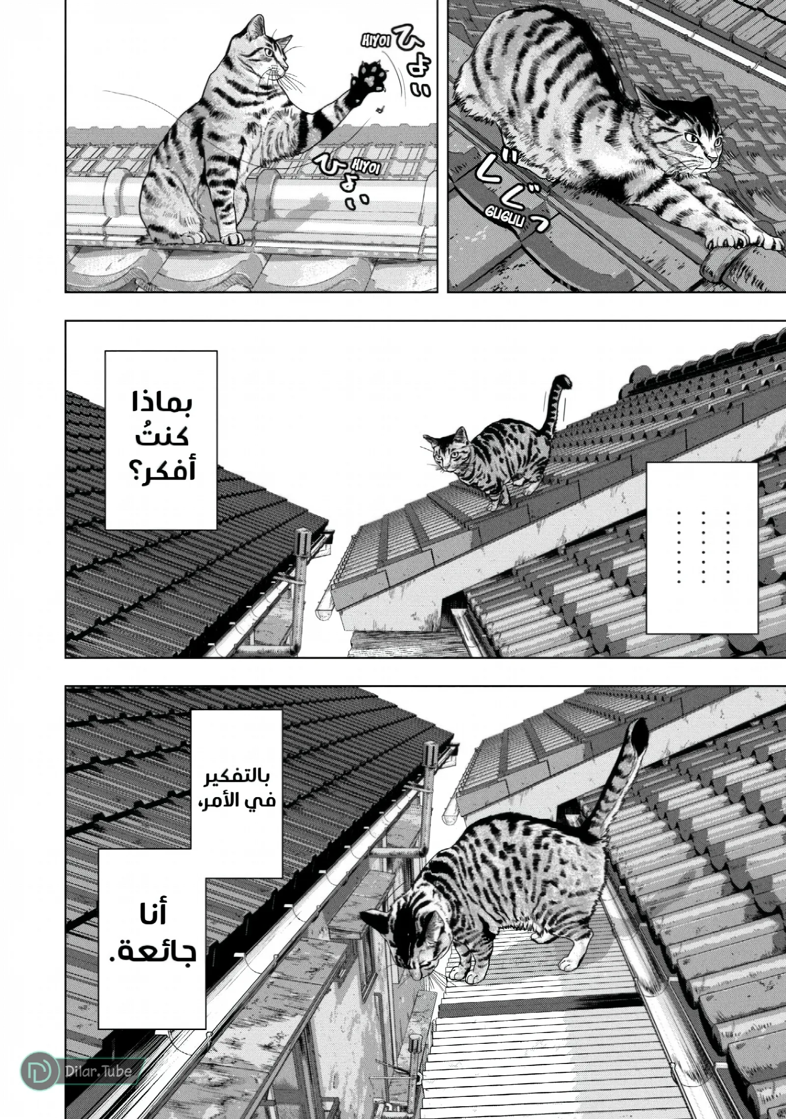 الصفحة 5