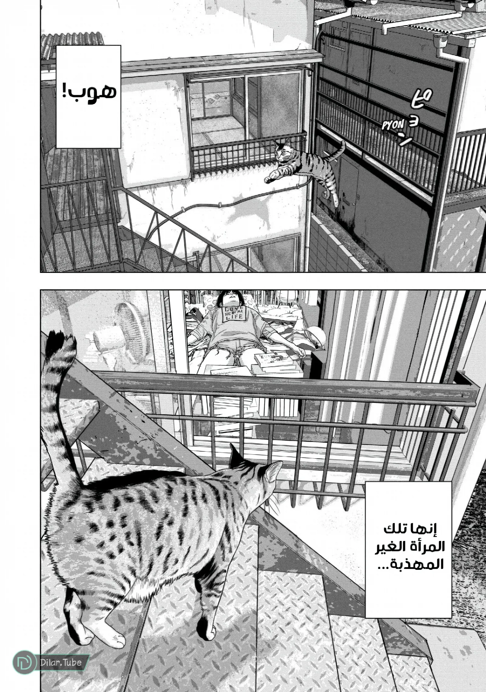 الصفحة 7