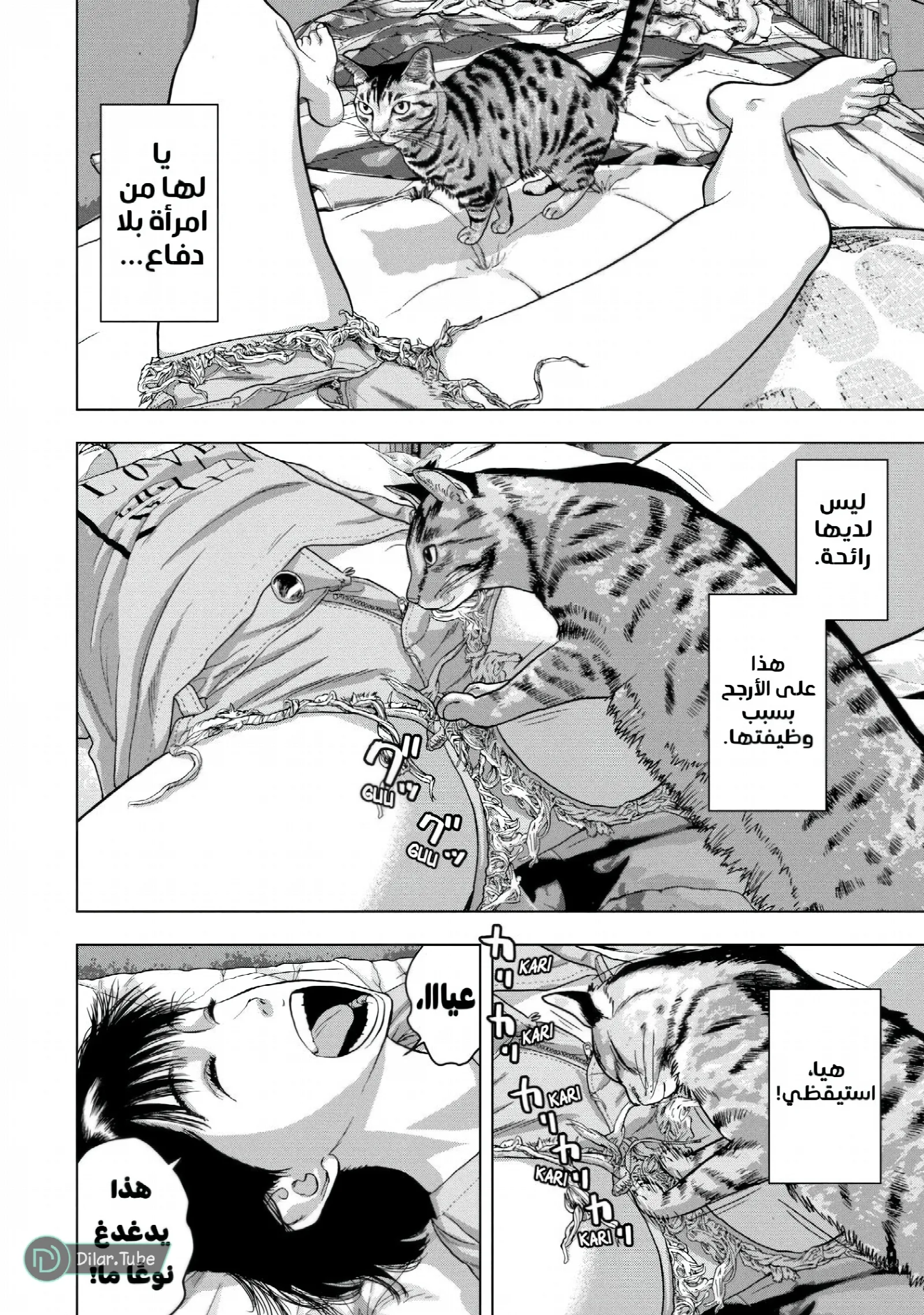 الصفحة 9