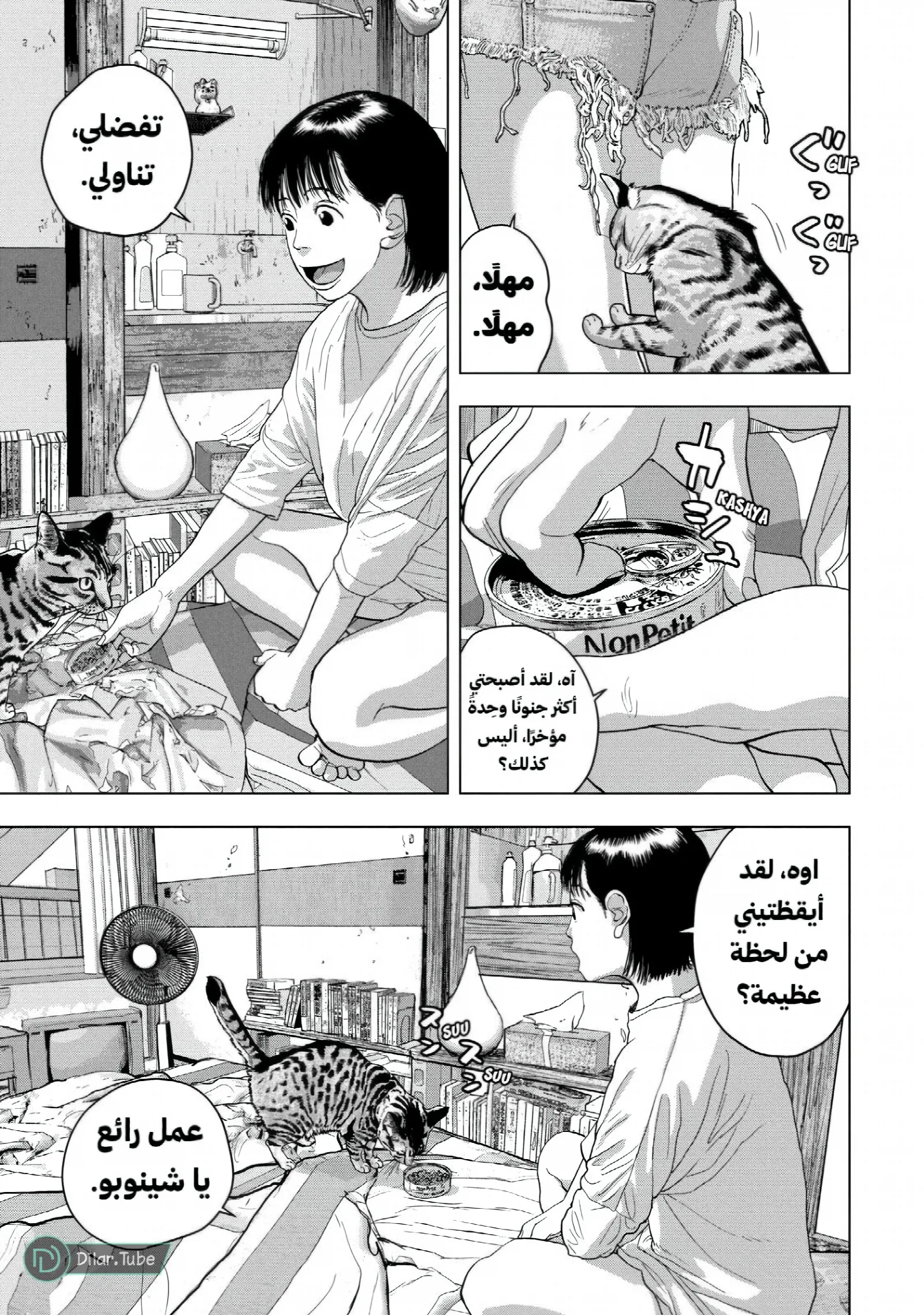 الصفحة 10