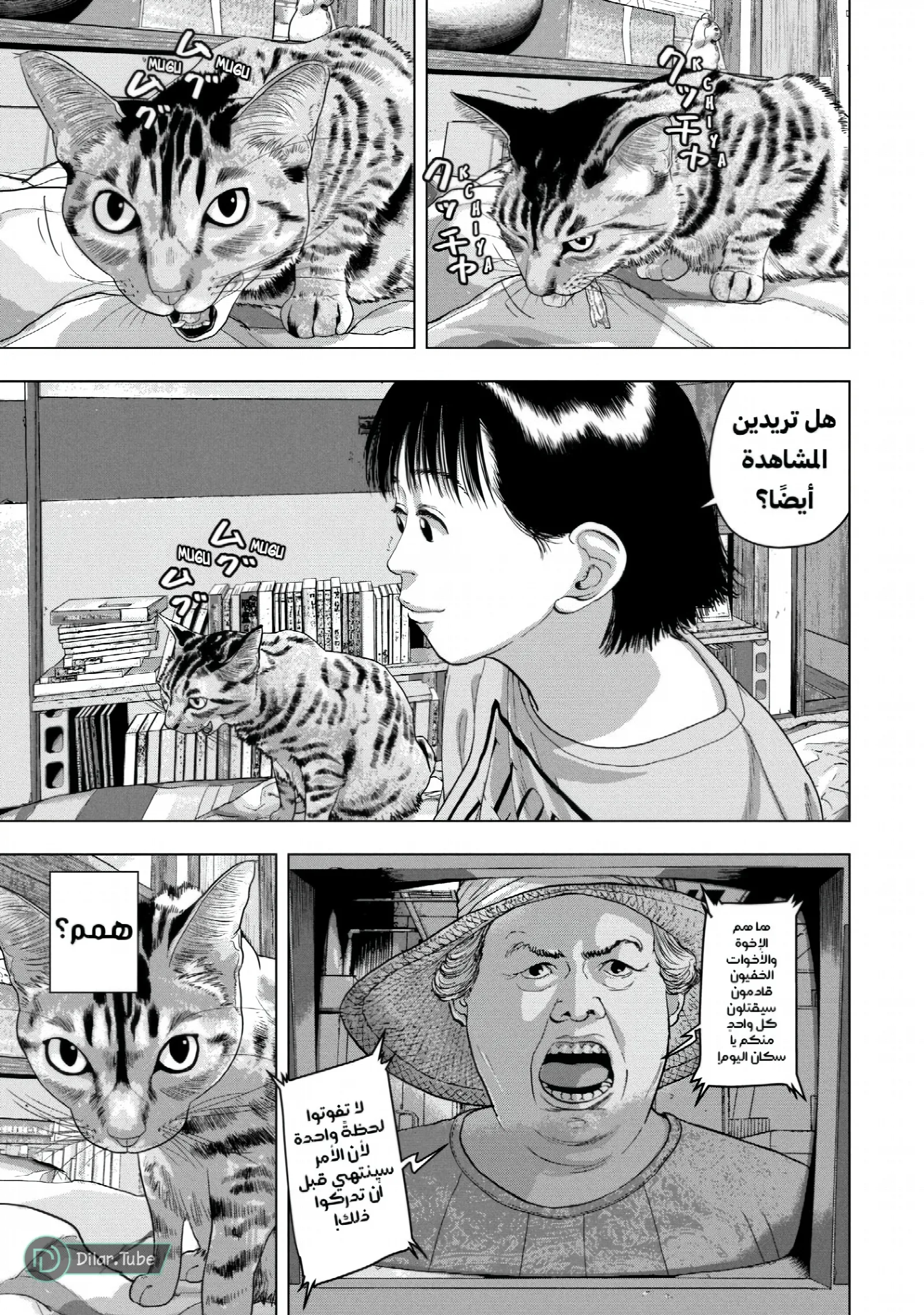 الصفحة 12