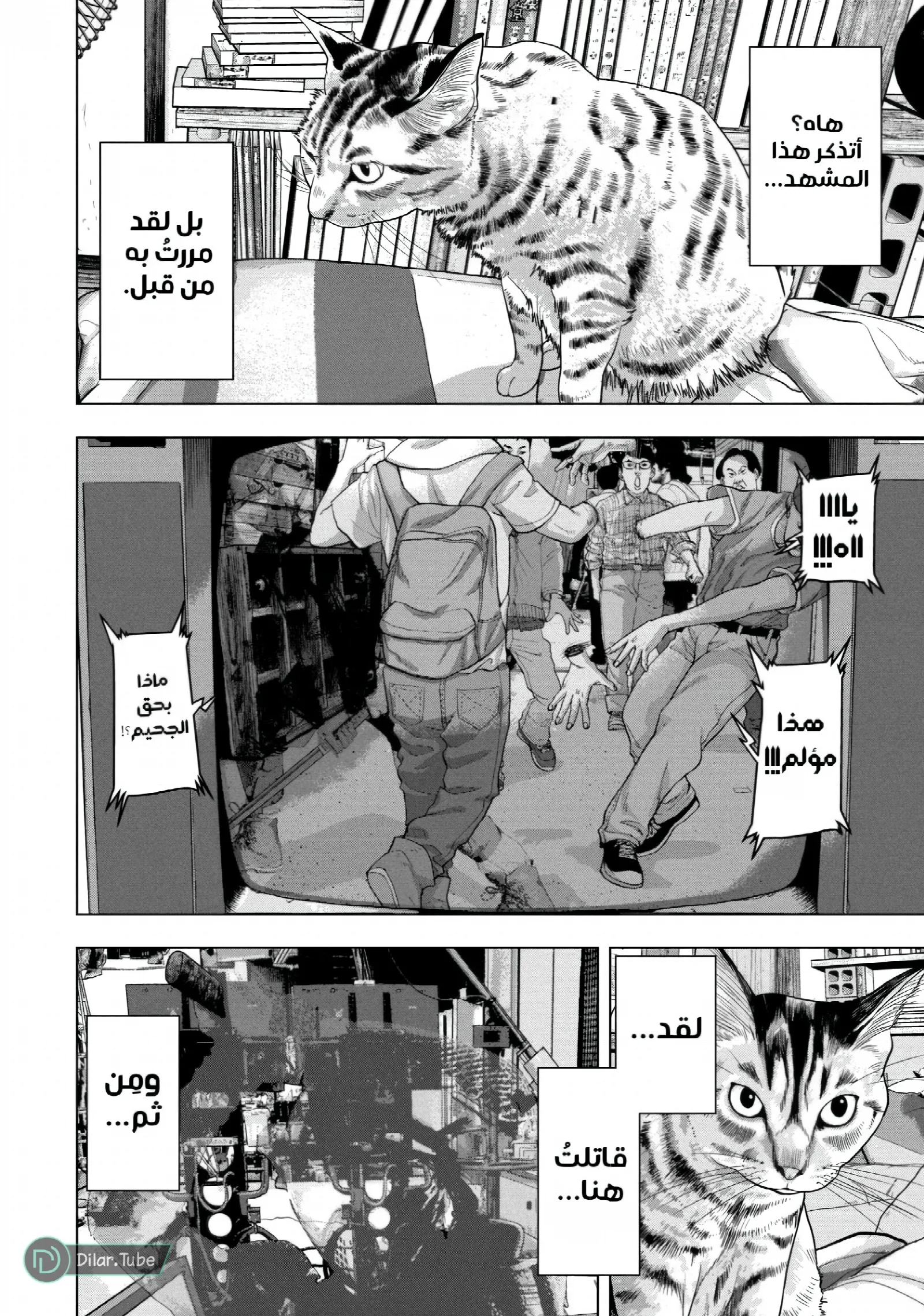 الصفحة 13