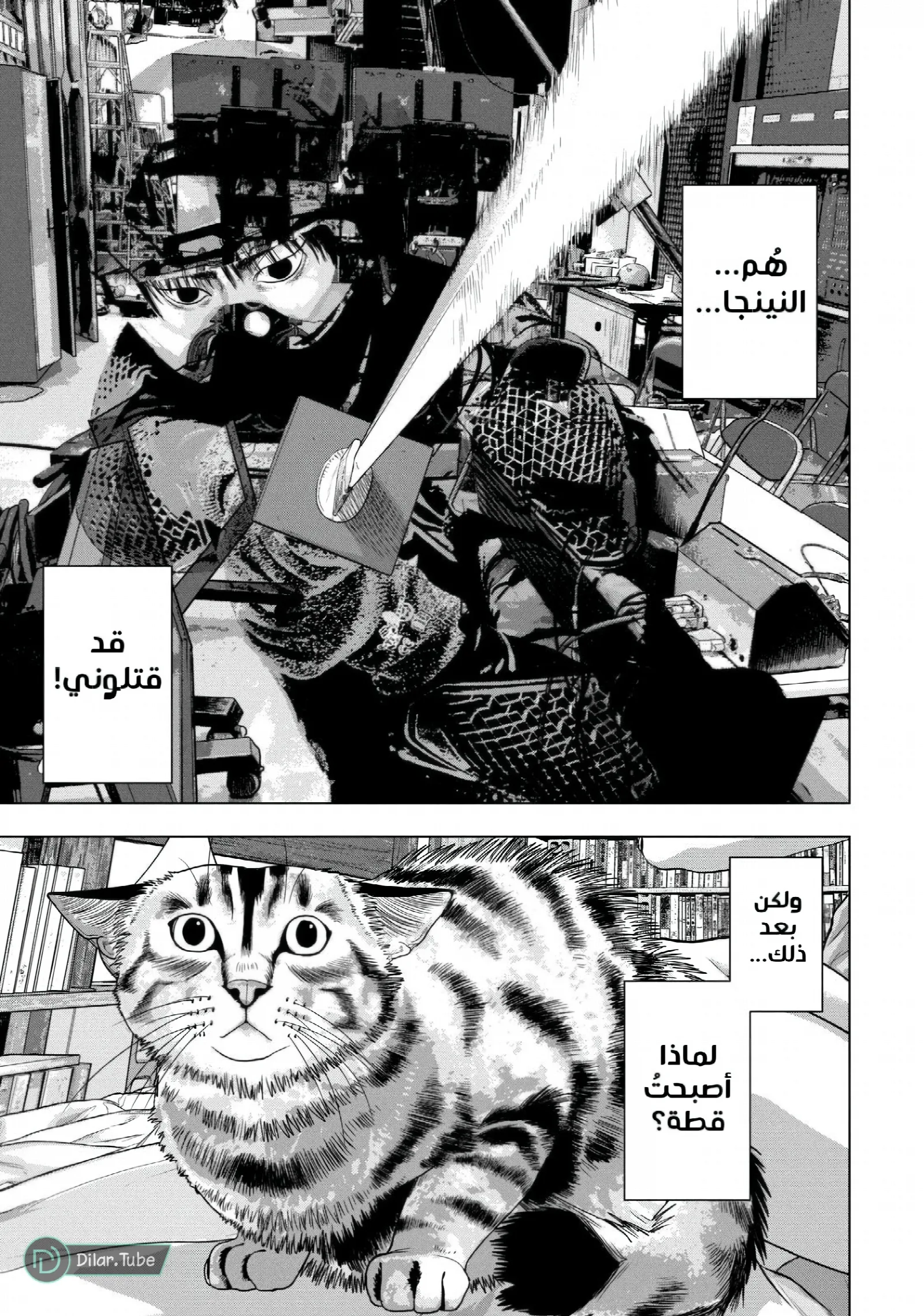 الصفحة 14