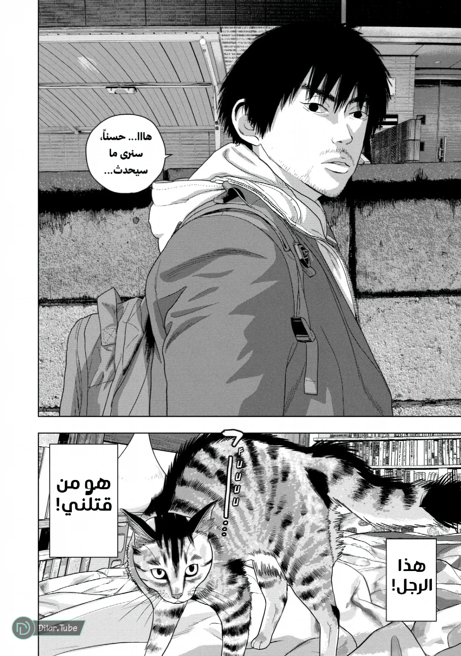 الصفحة 19