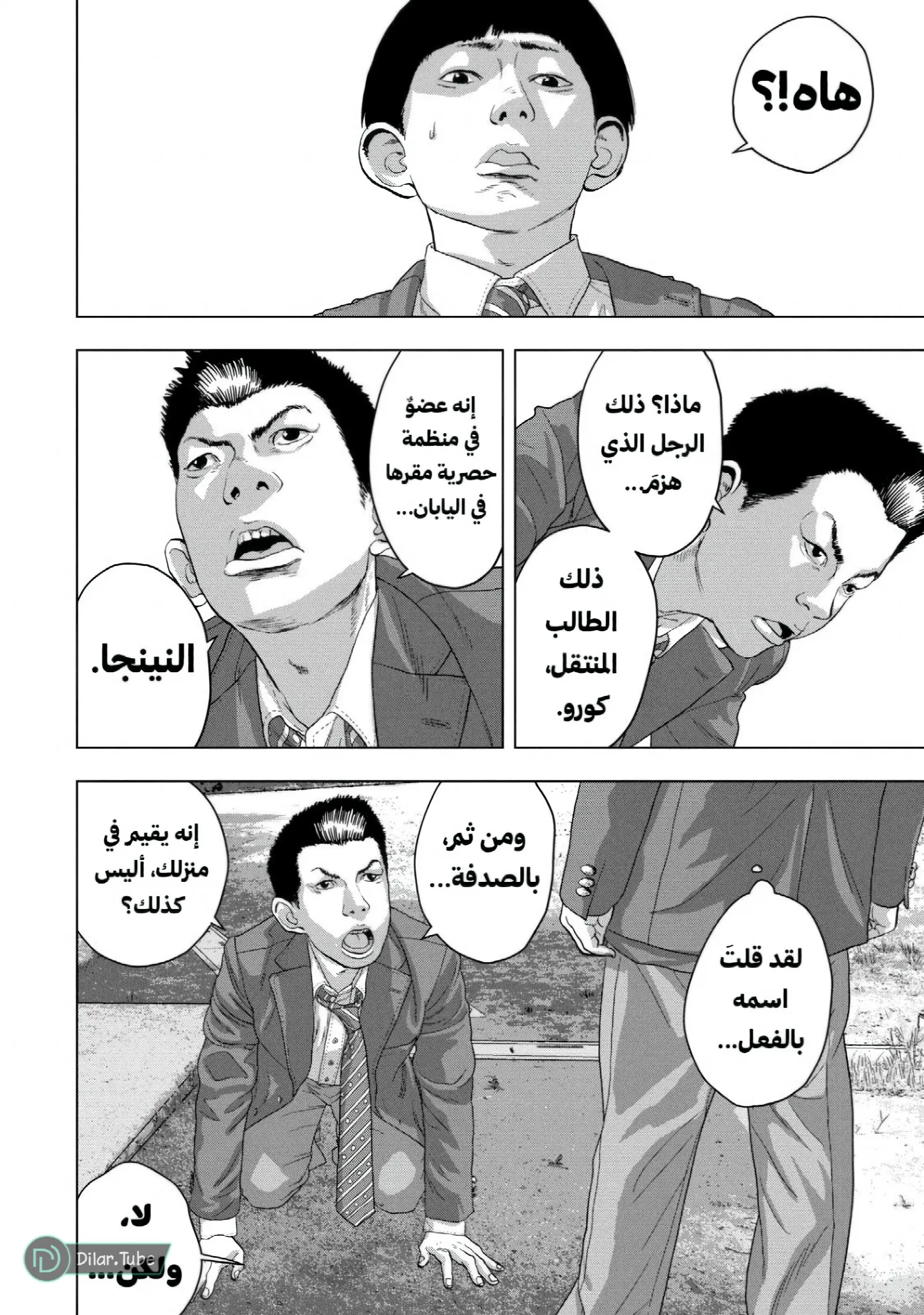 الصفحة 17