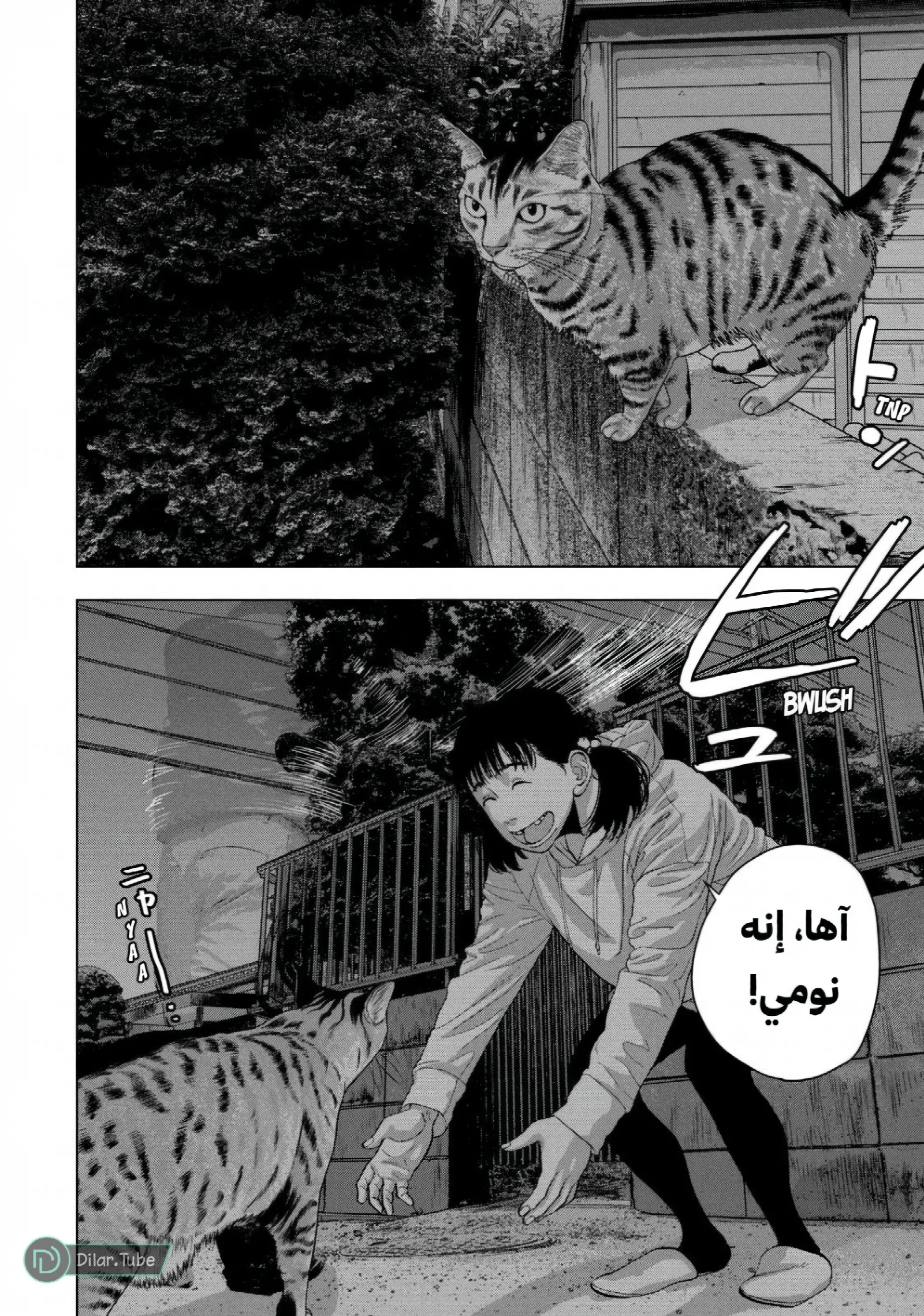 الصفحة 4