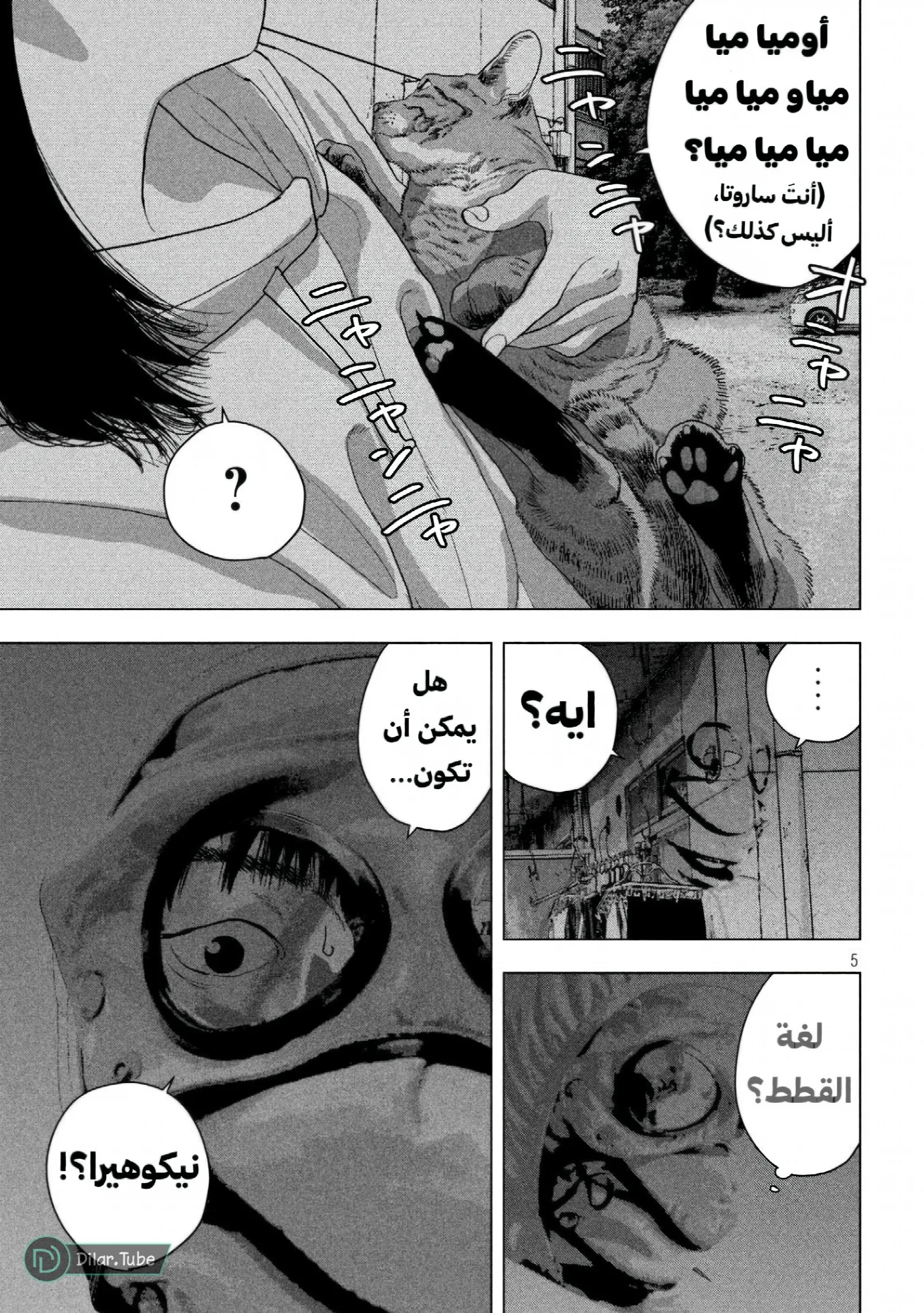 الصفحة 7