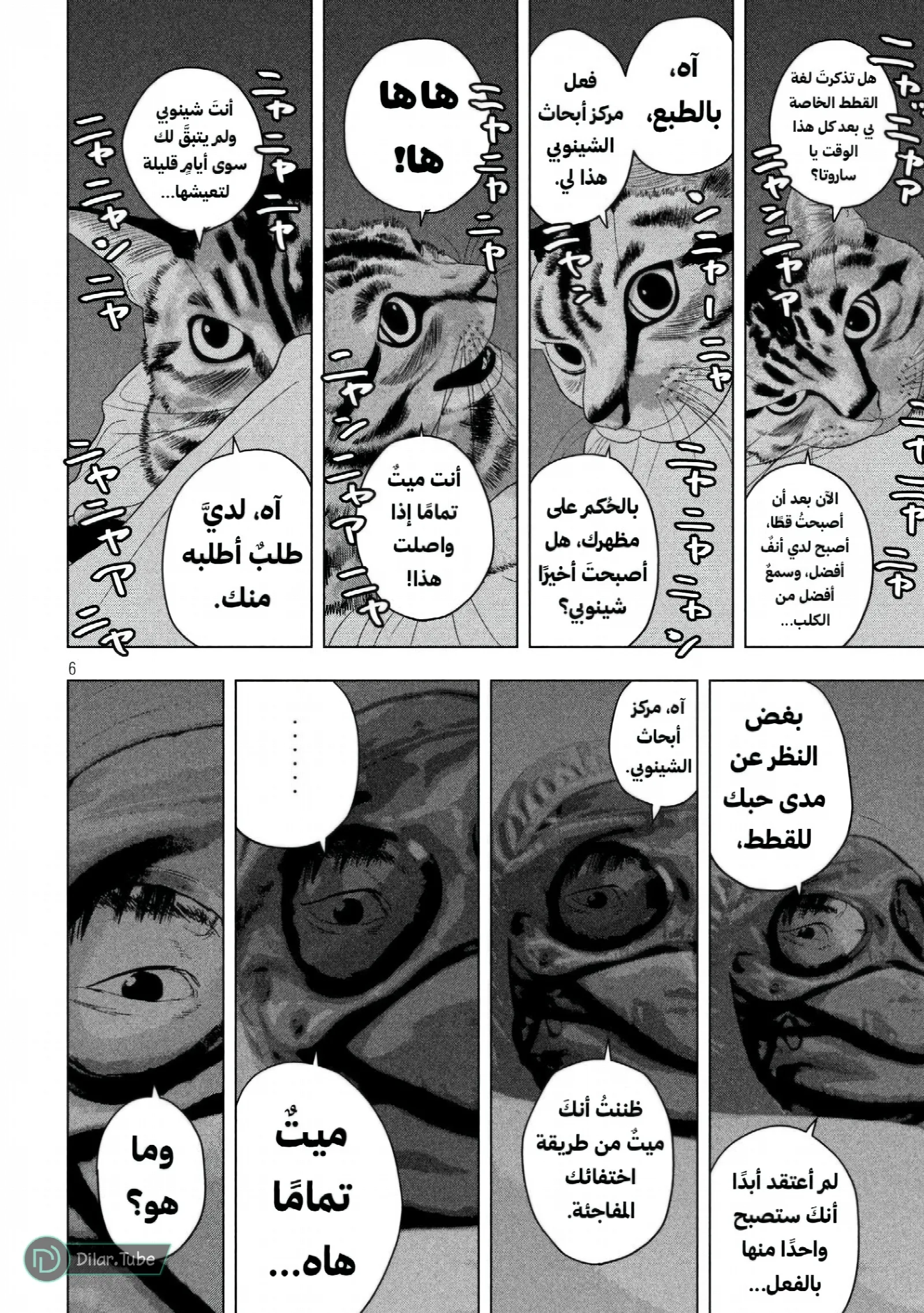 الصفحة 8