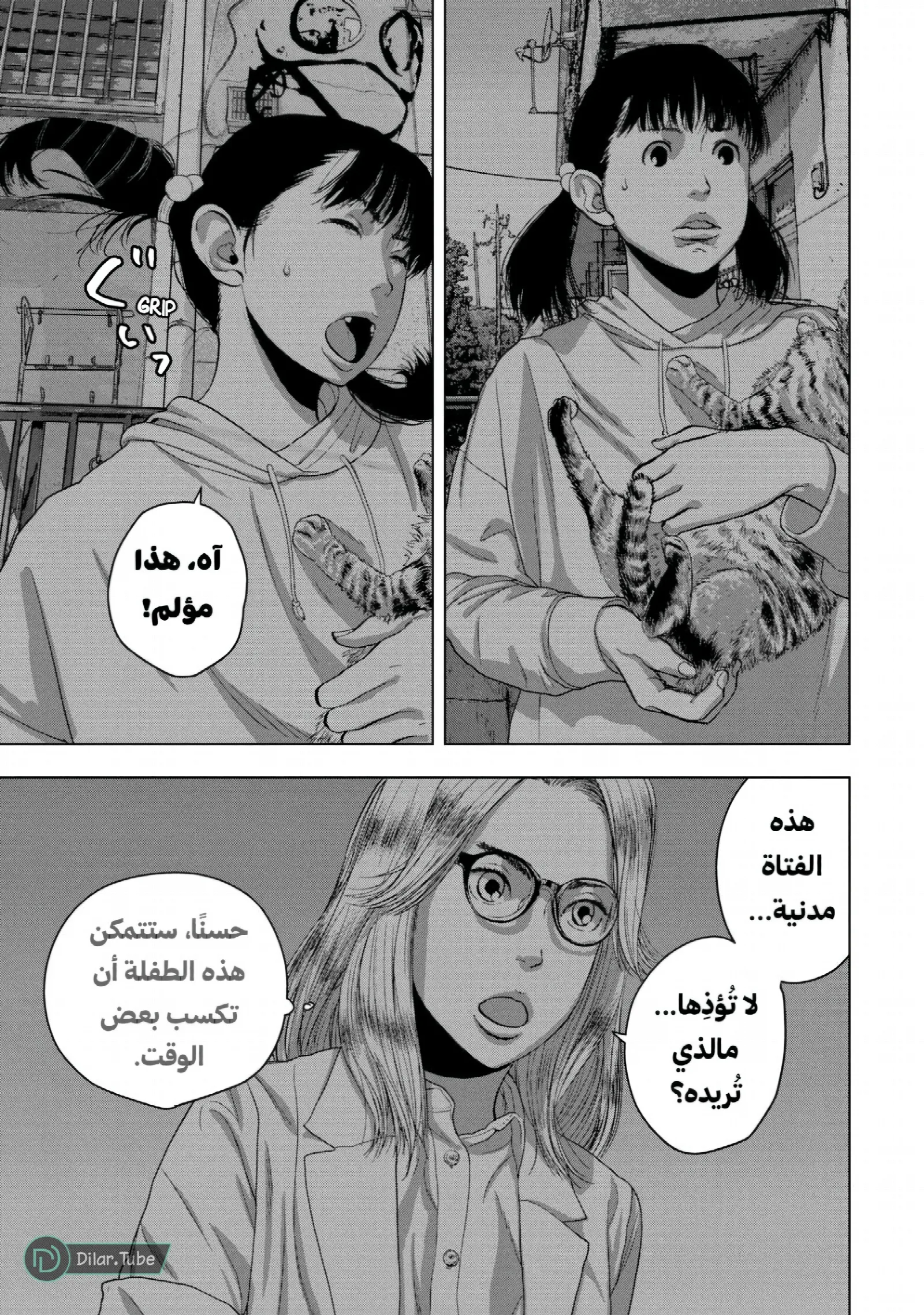 الصفحة 11