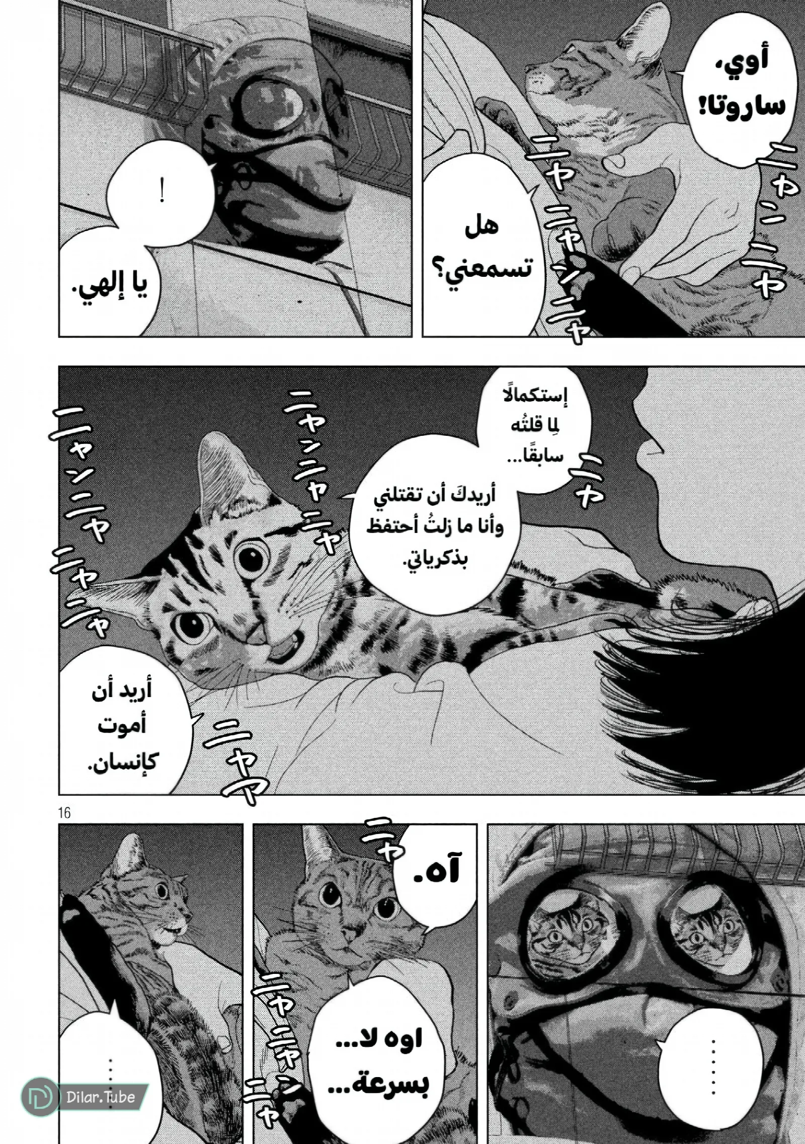 الصفحة 18