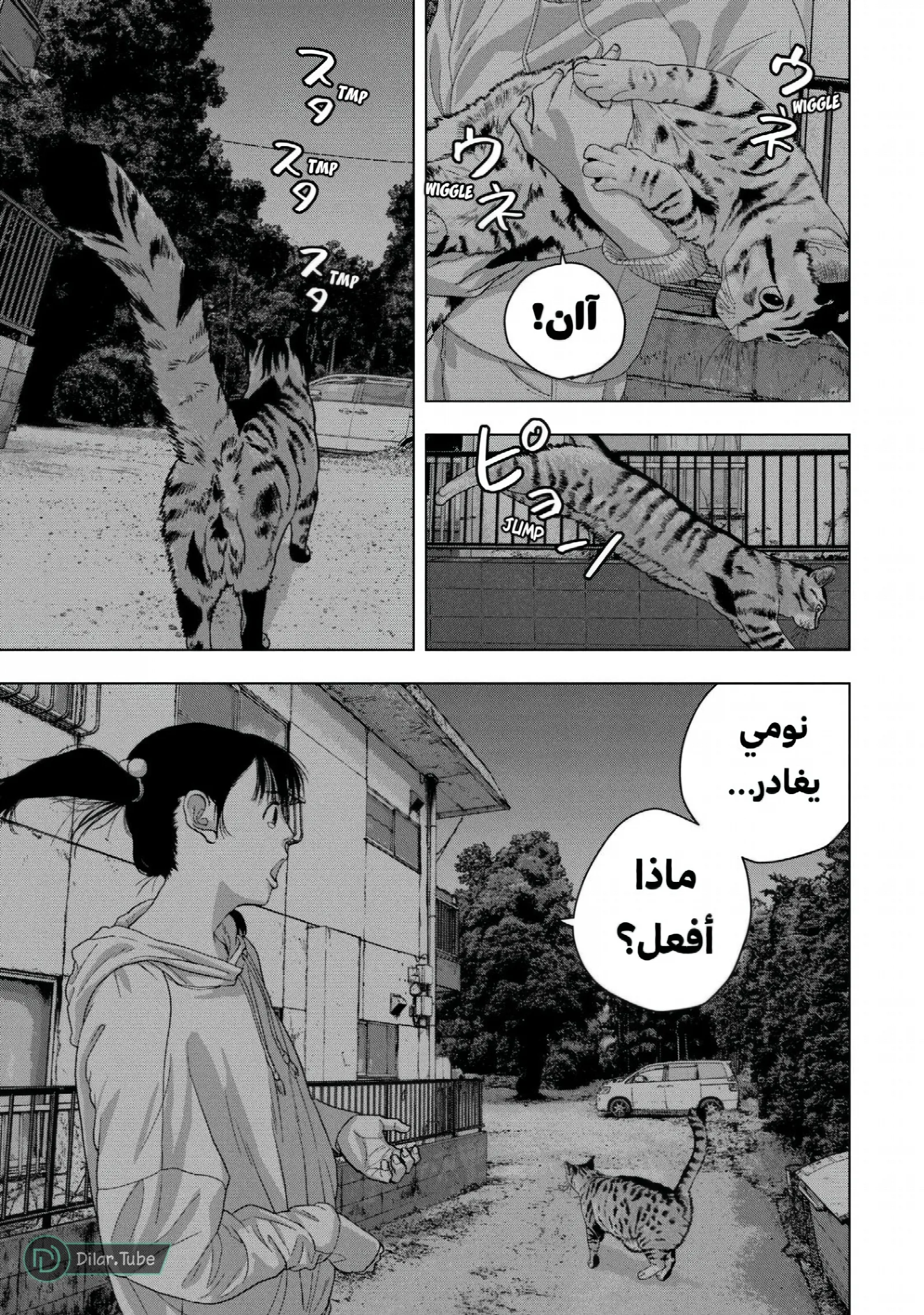 الصفحة 19