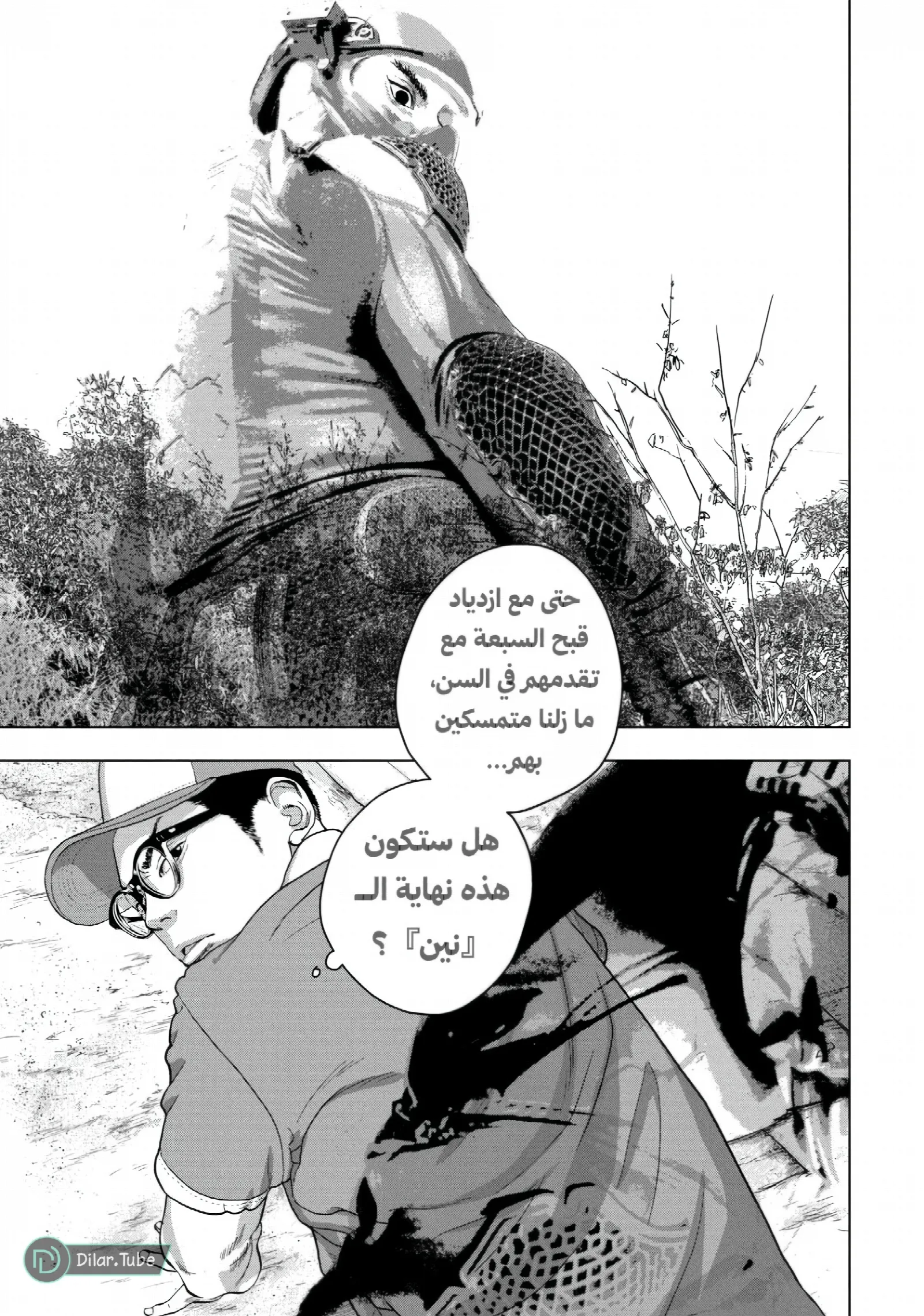 الصفحة 17