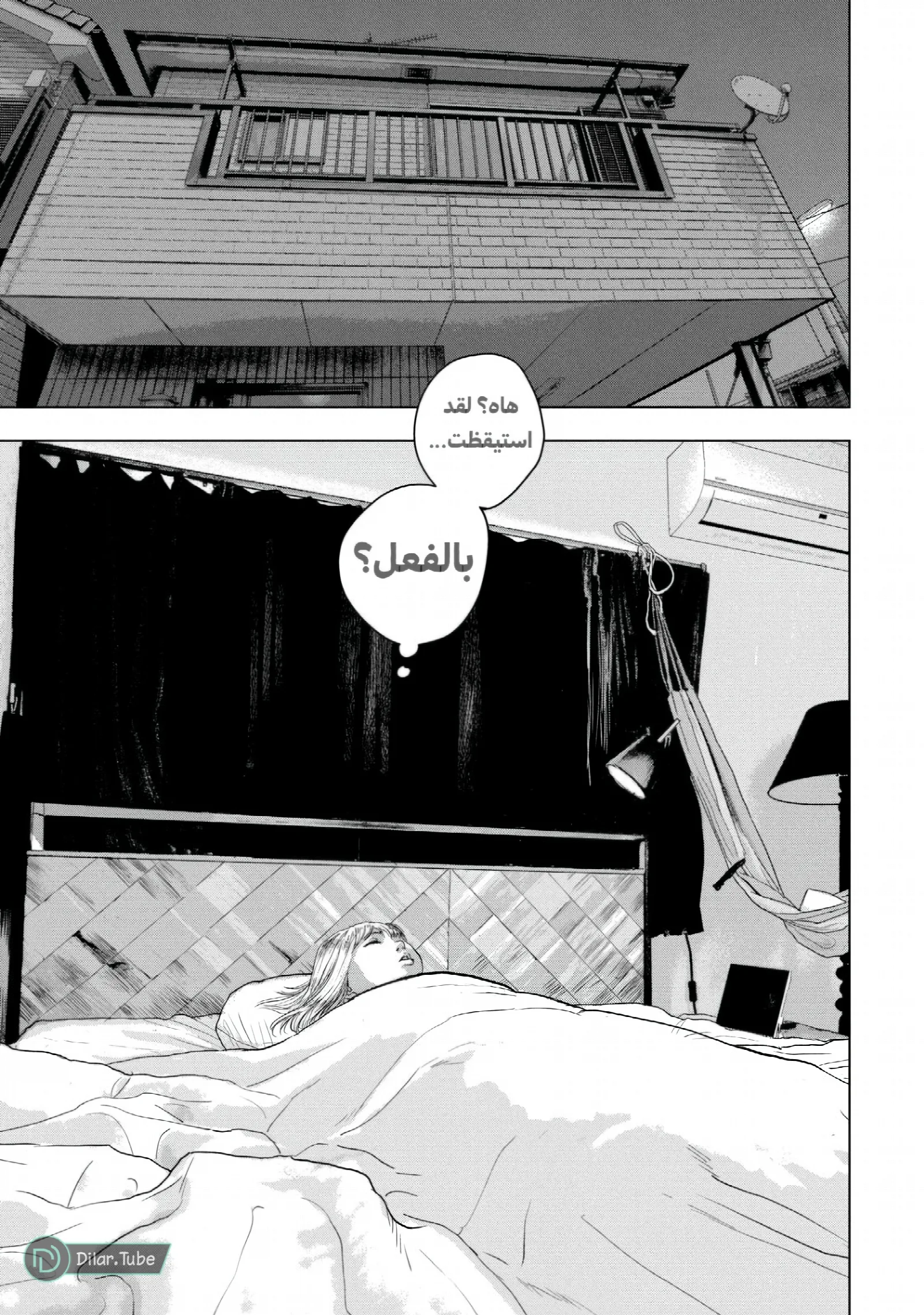 الصفحة 19