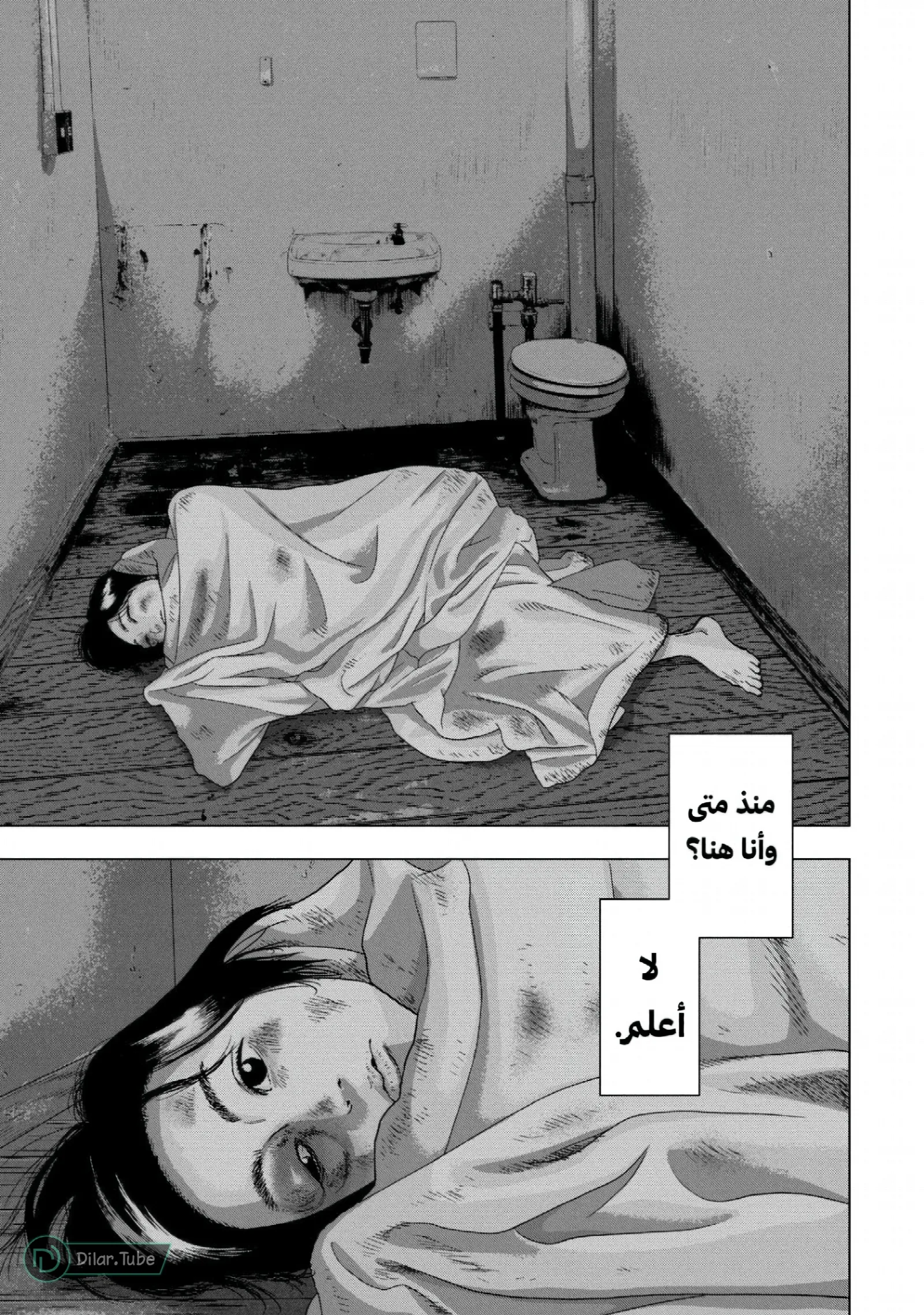 الصفحة 12