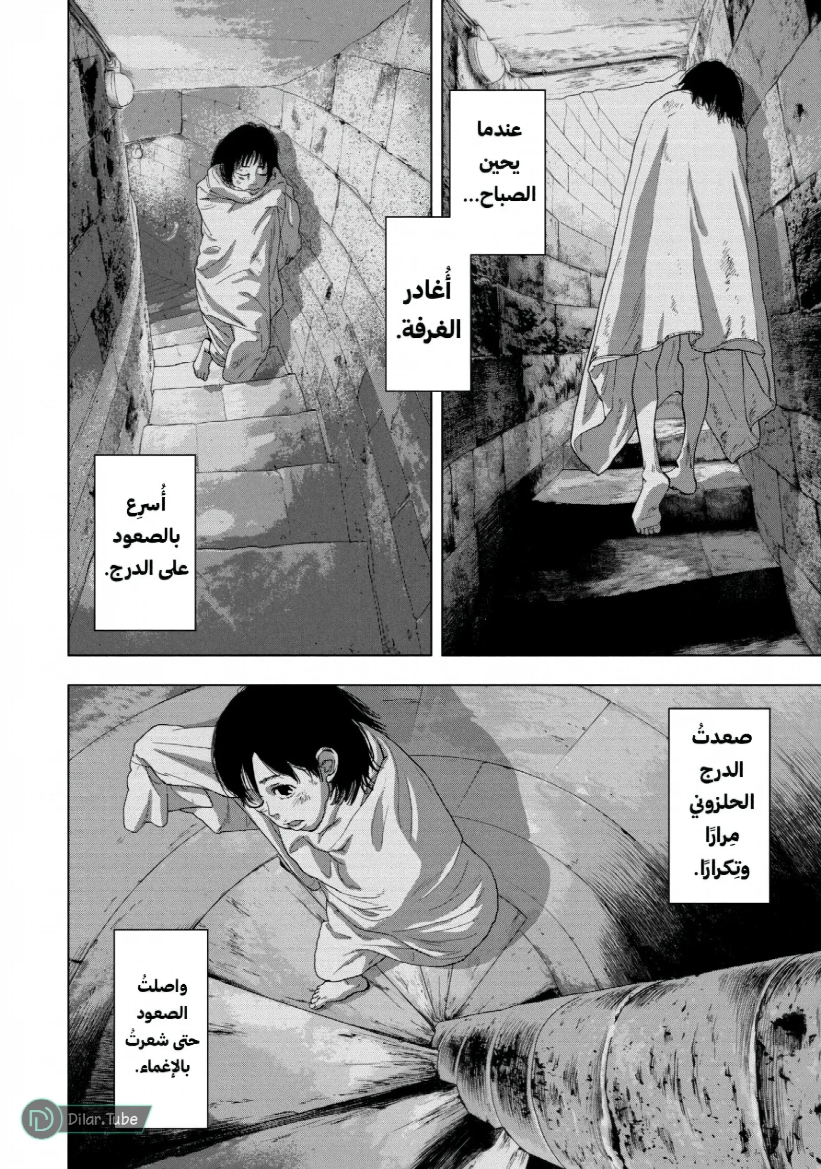 الصفحة 13