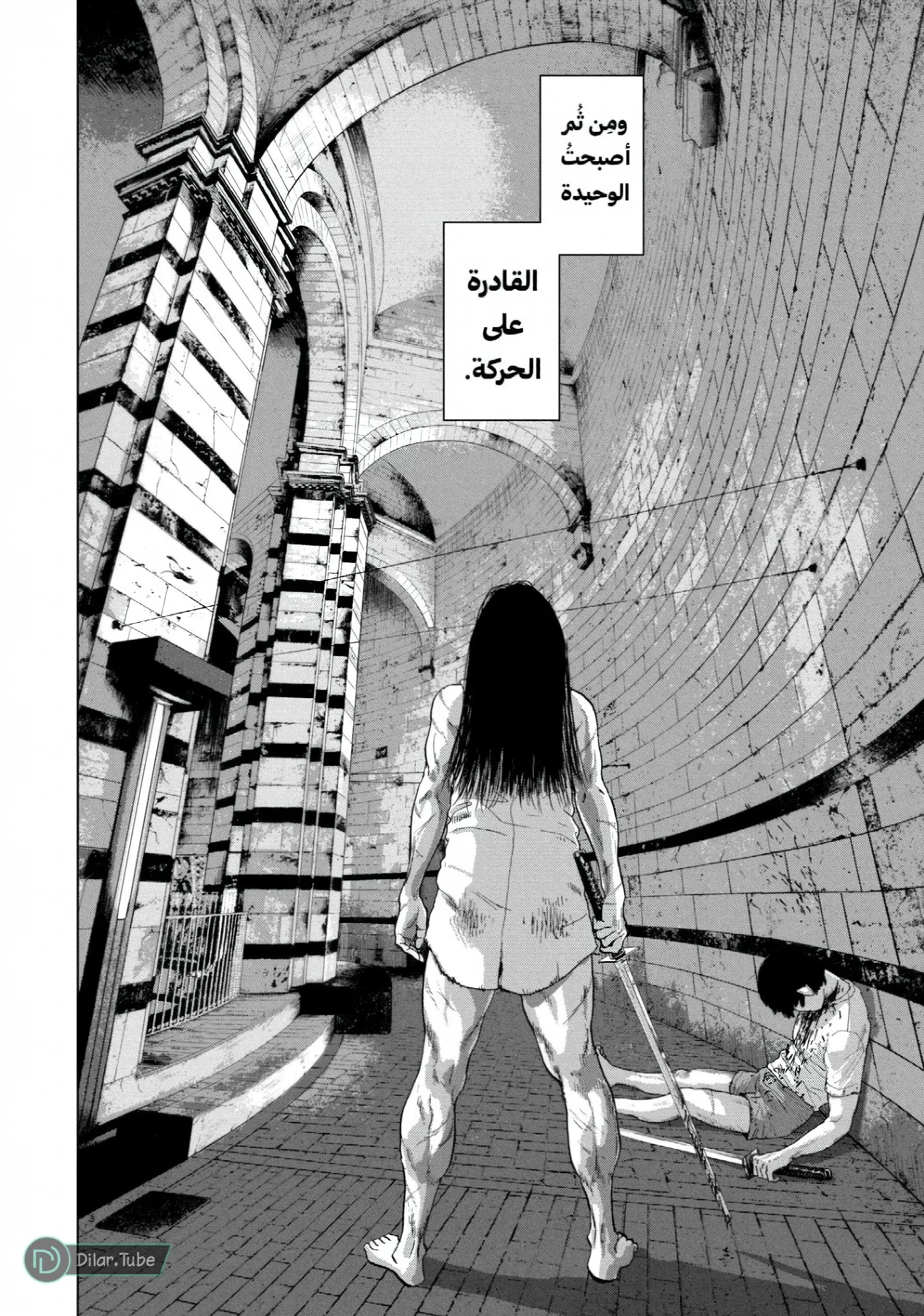الصفحة 17