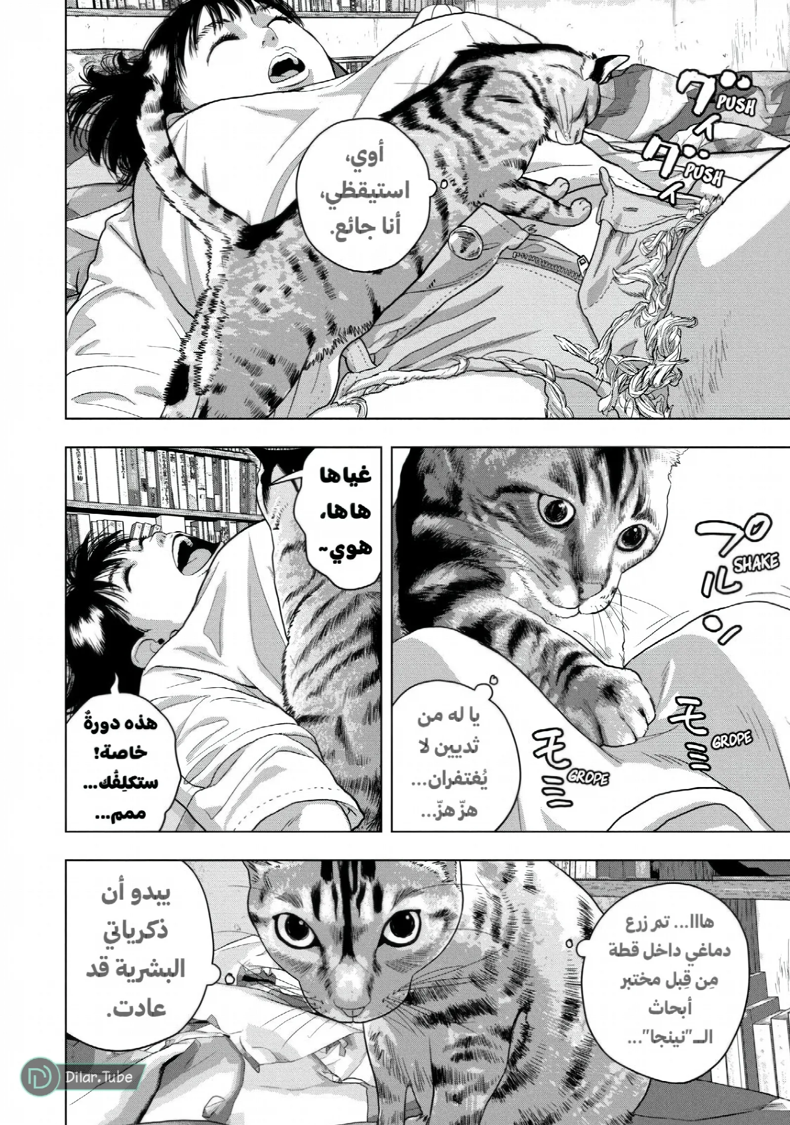 الصفحة 3