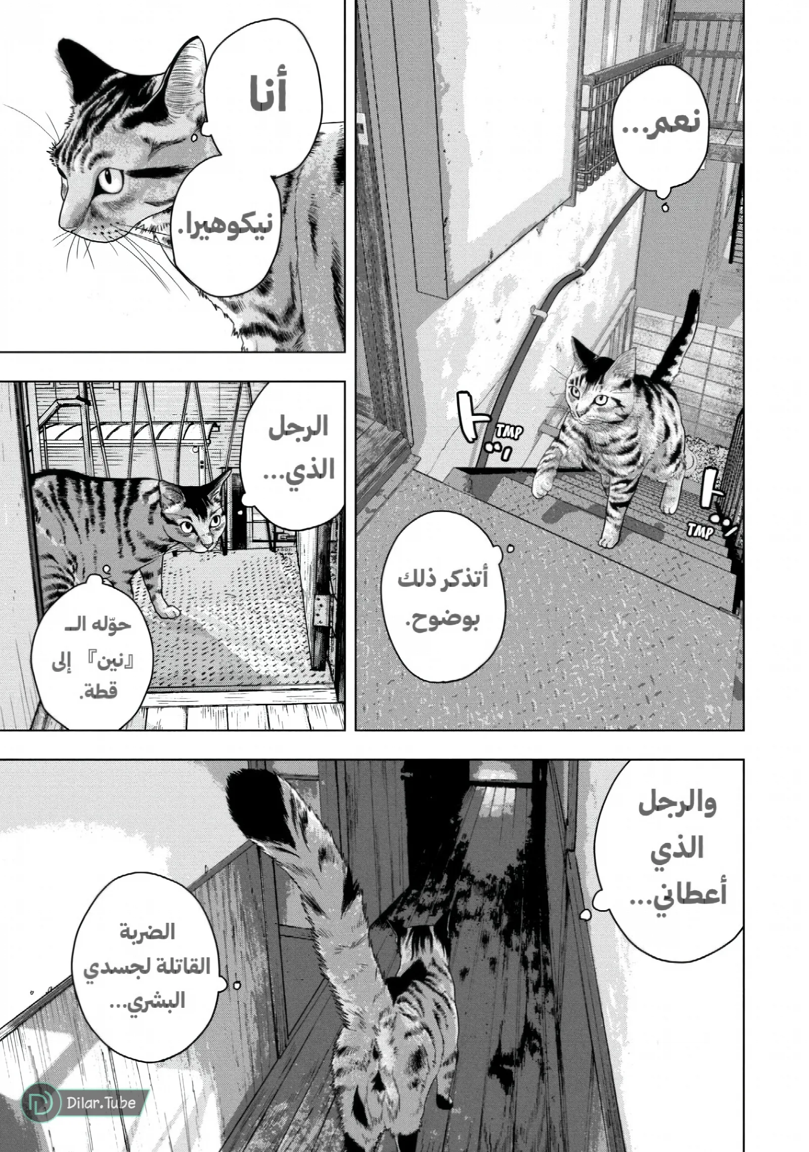 الصفحة 4