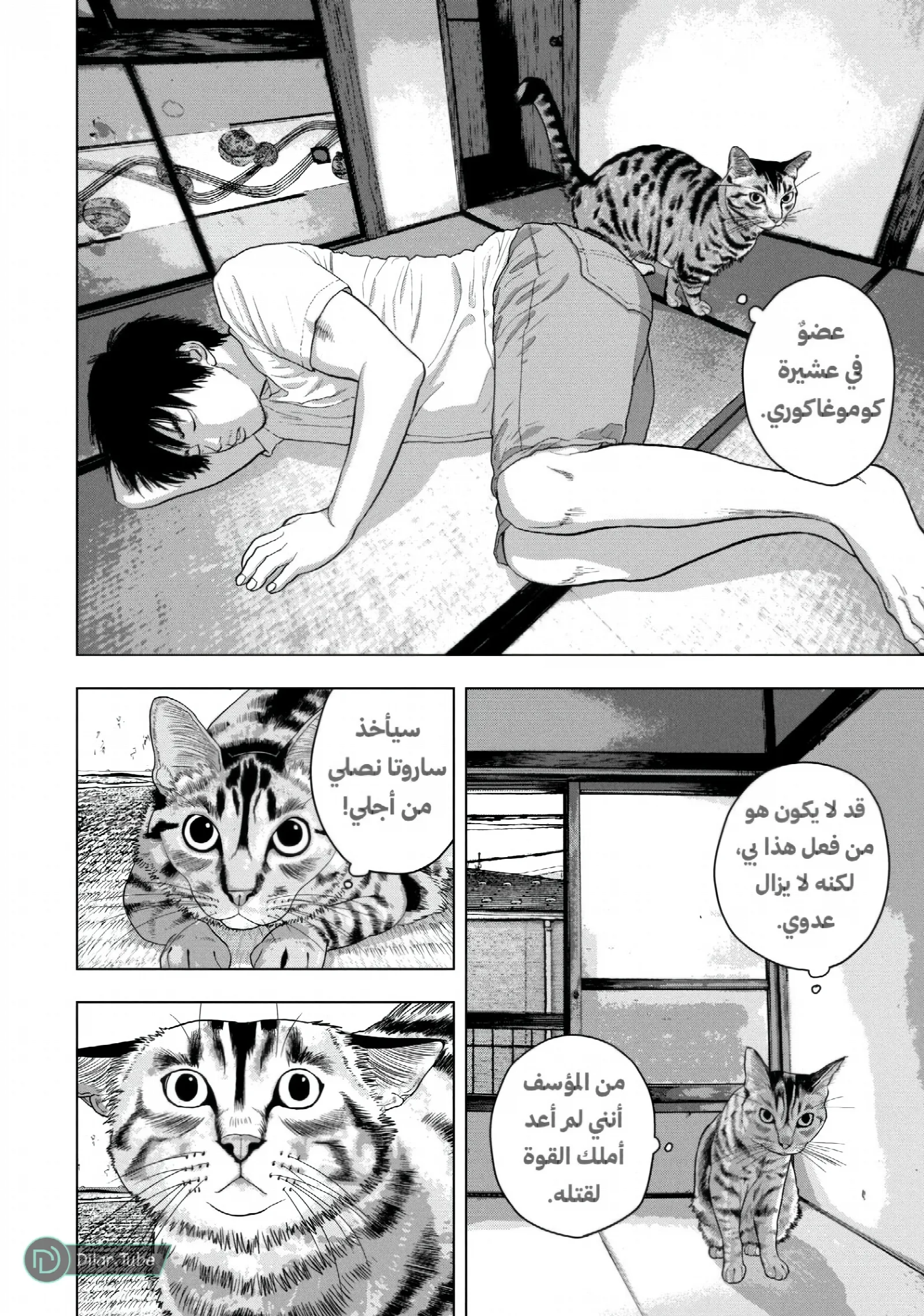 الصفحة 5