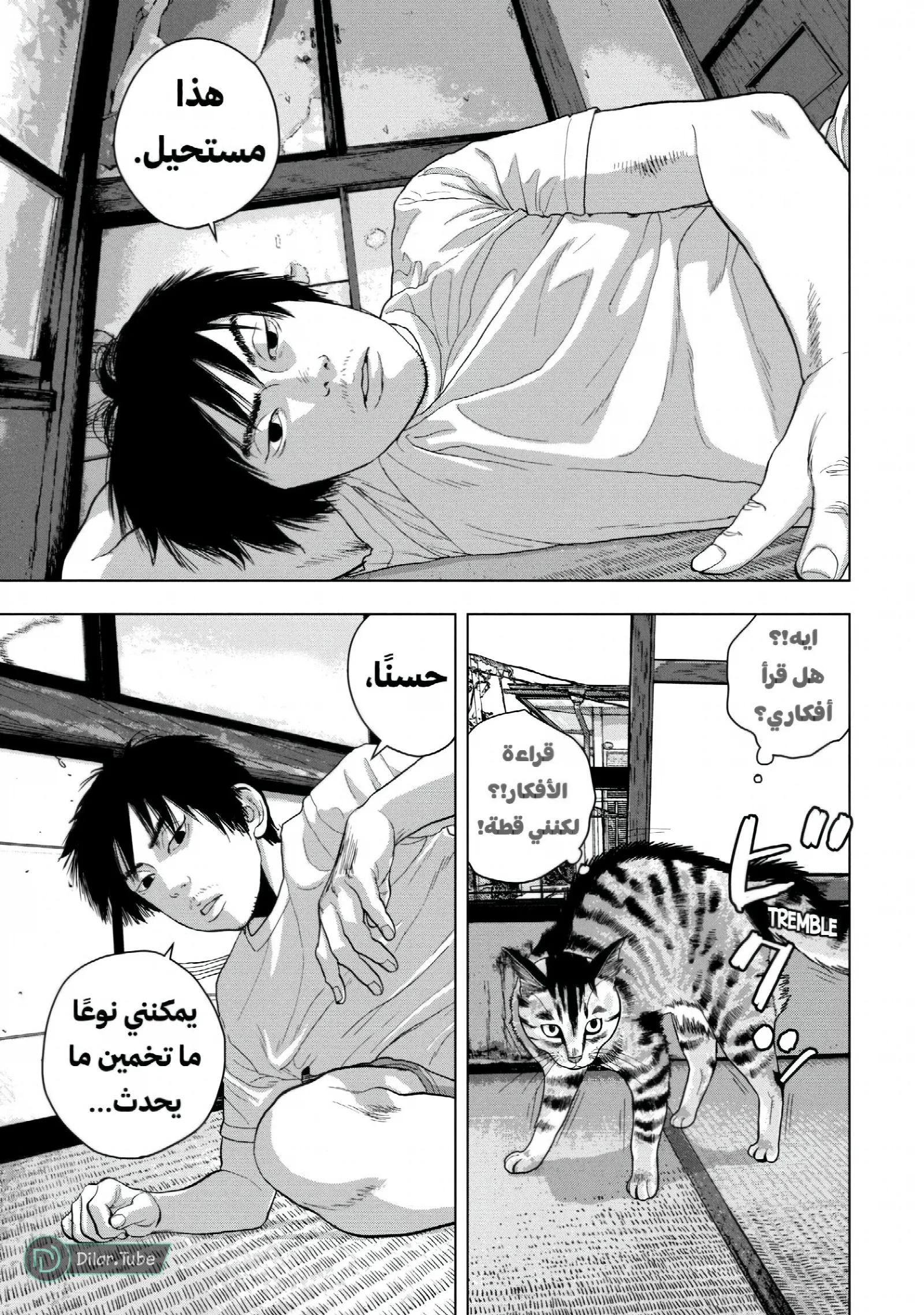 الصفحة 6
