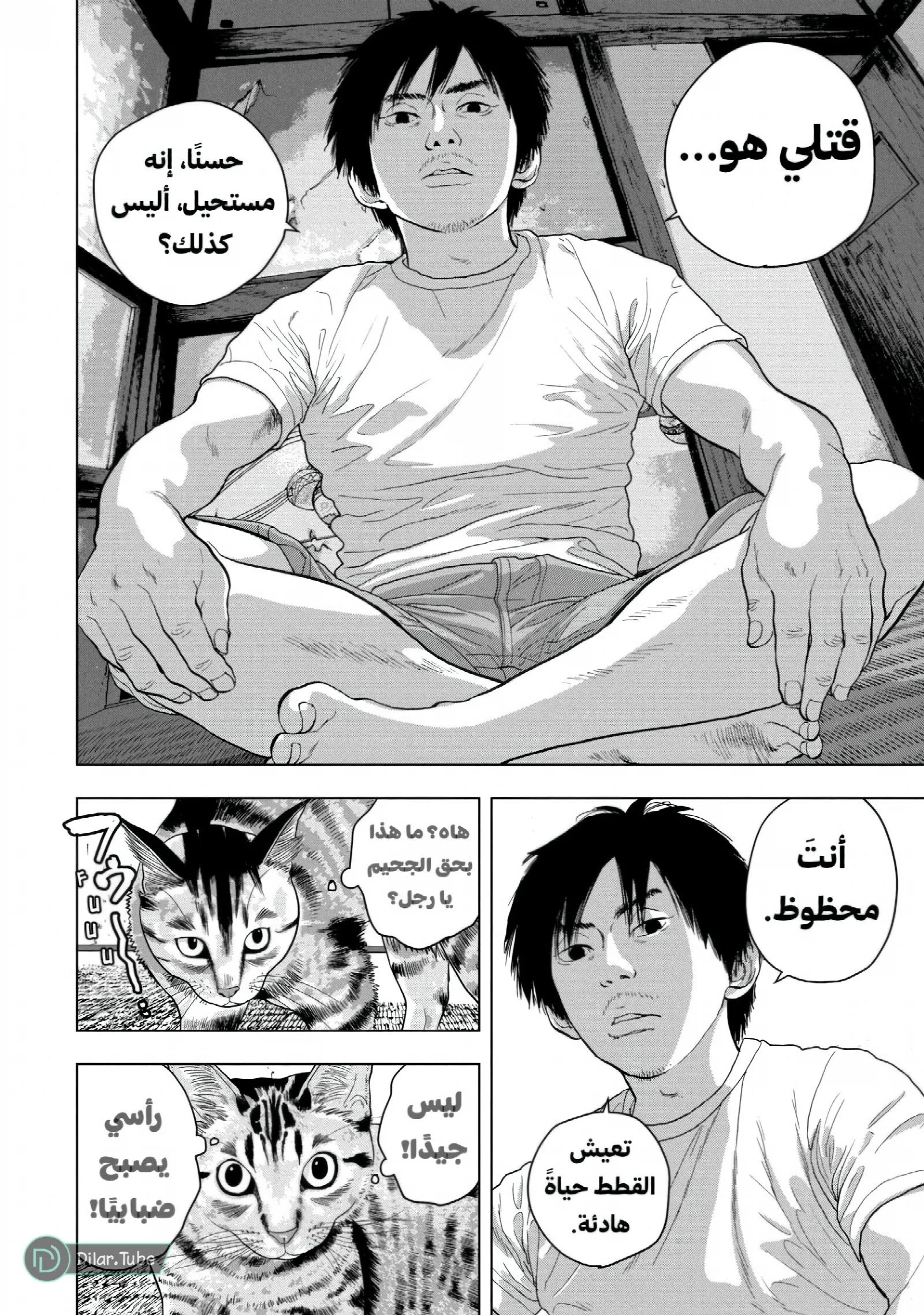 الصفحة 7