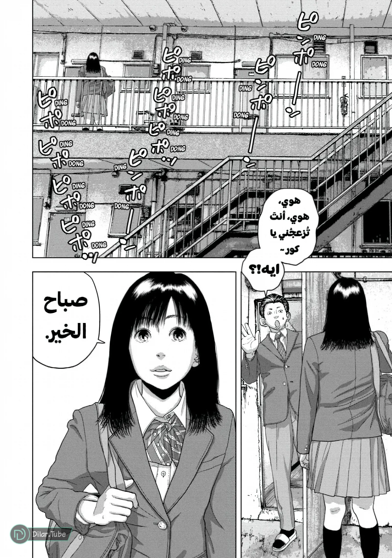 الصفحة 17