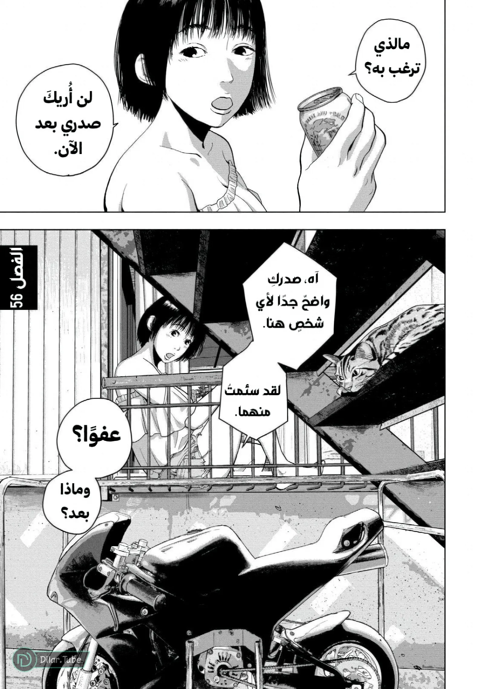 الصفحة 2