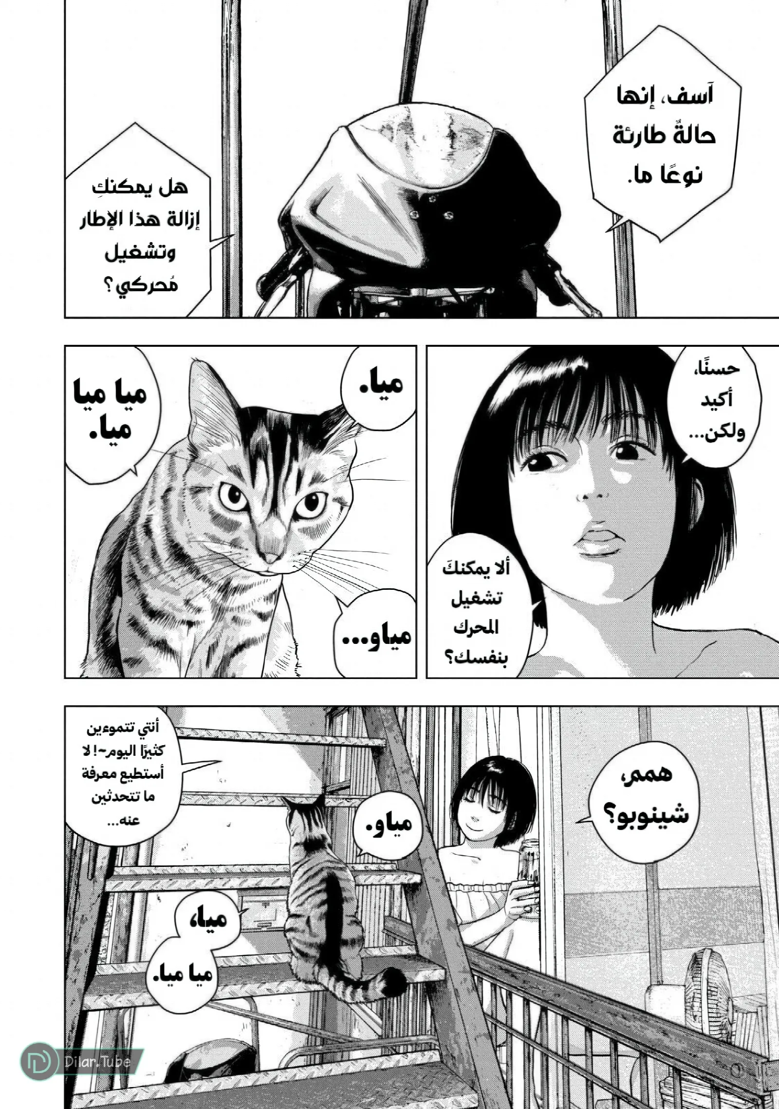 الصفحة 3