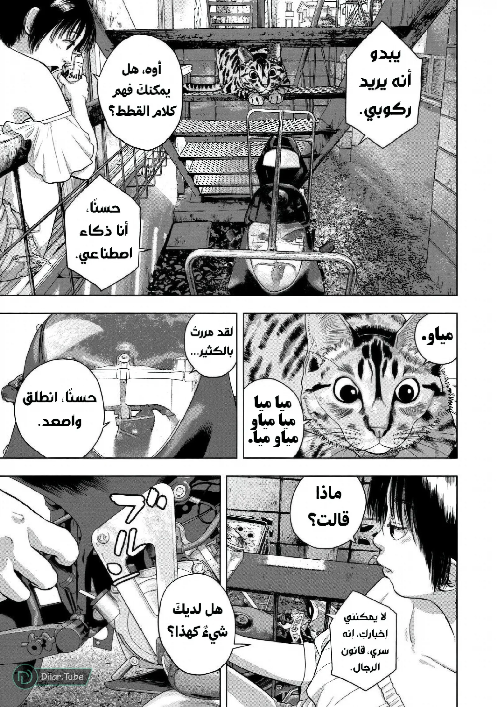 الصفحة 4