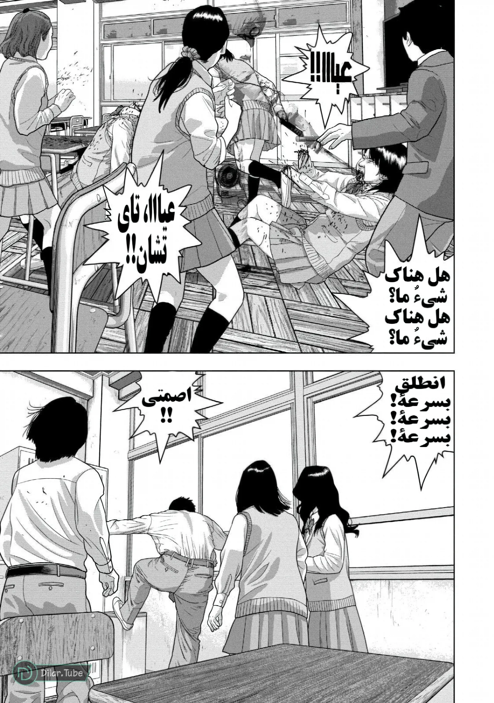 الصفحة 13